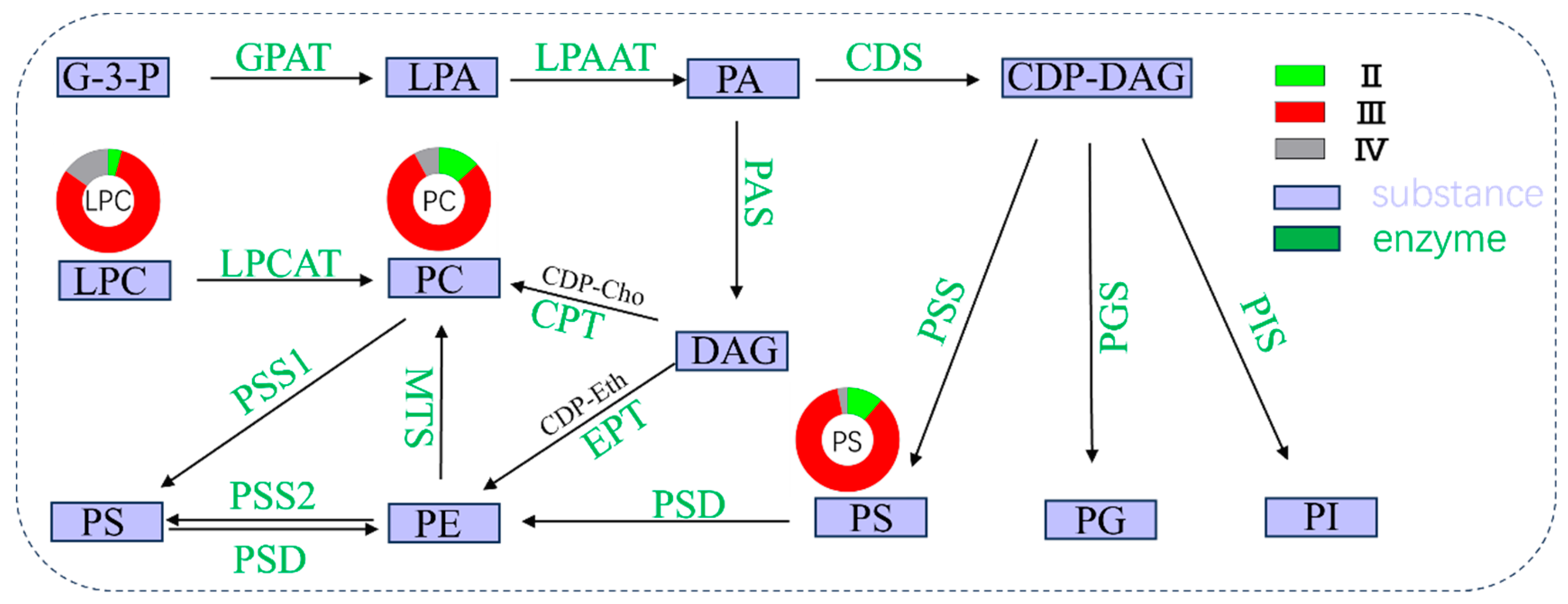 Fishes 09 00291 g005
