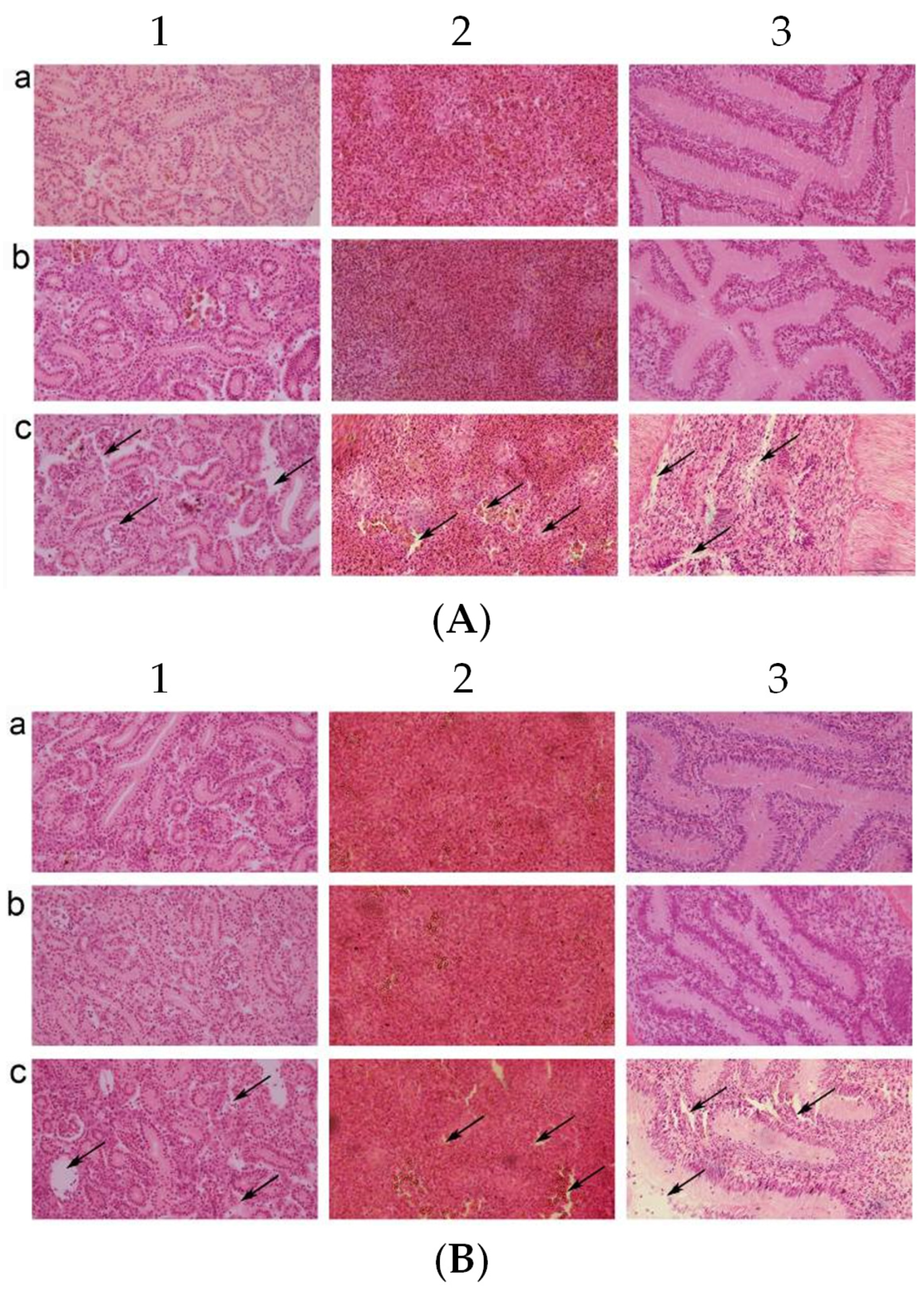 Fishes 09 00302 g004