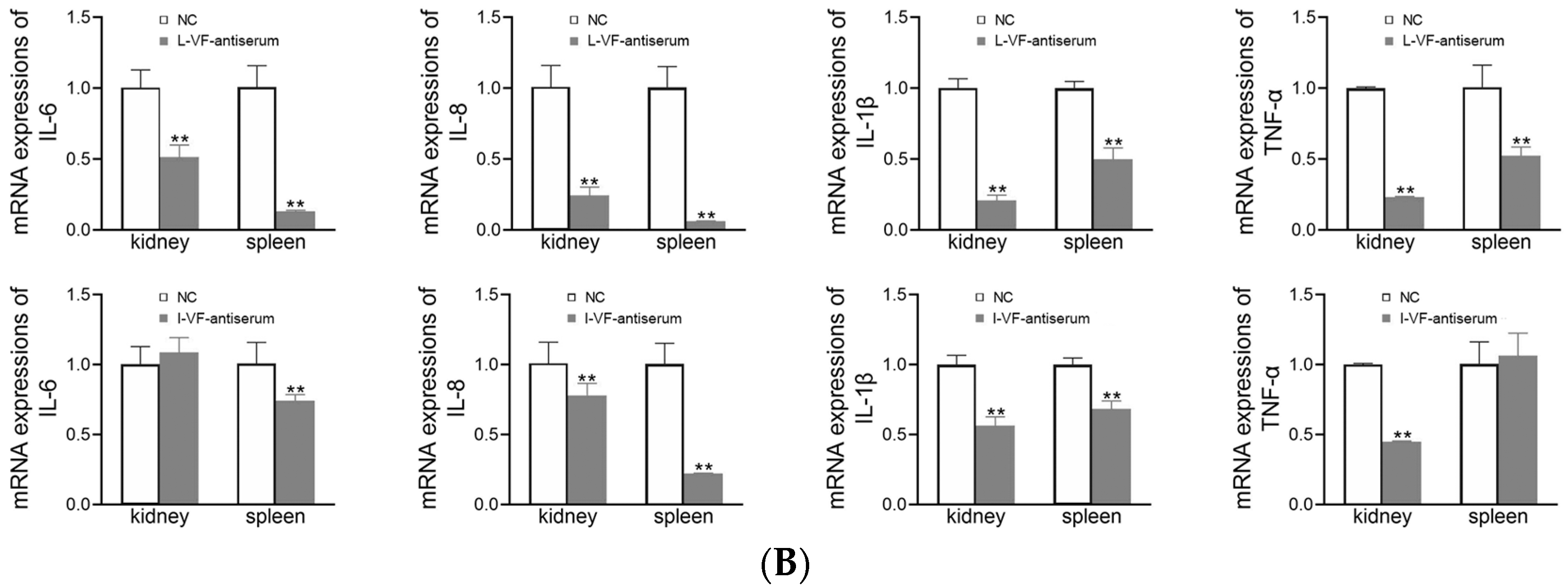 Fishes 09 00302 g007b