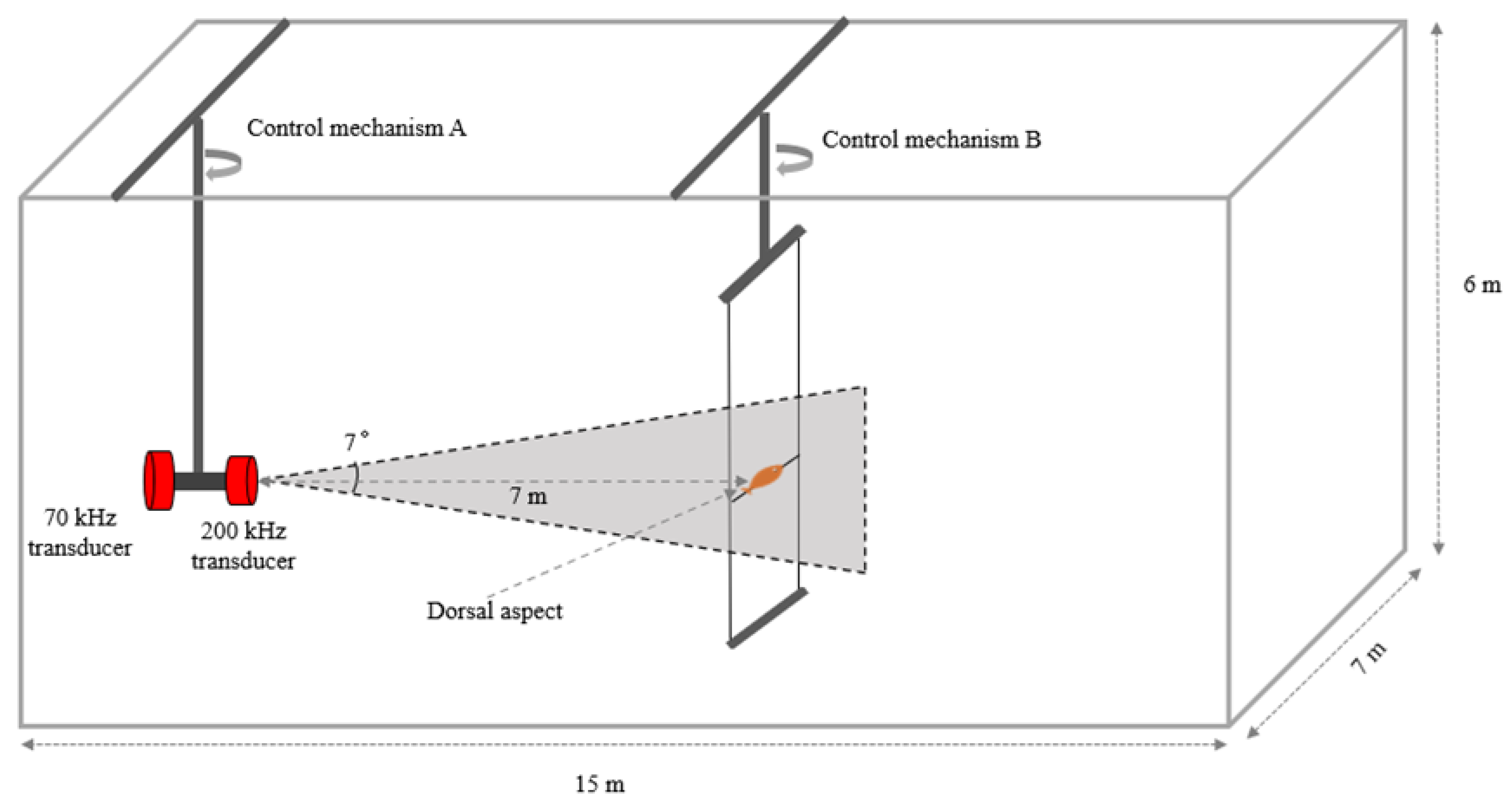 Fishes 09 00307 g002 Fishes 09 00307 g002