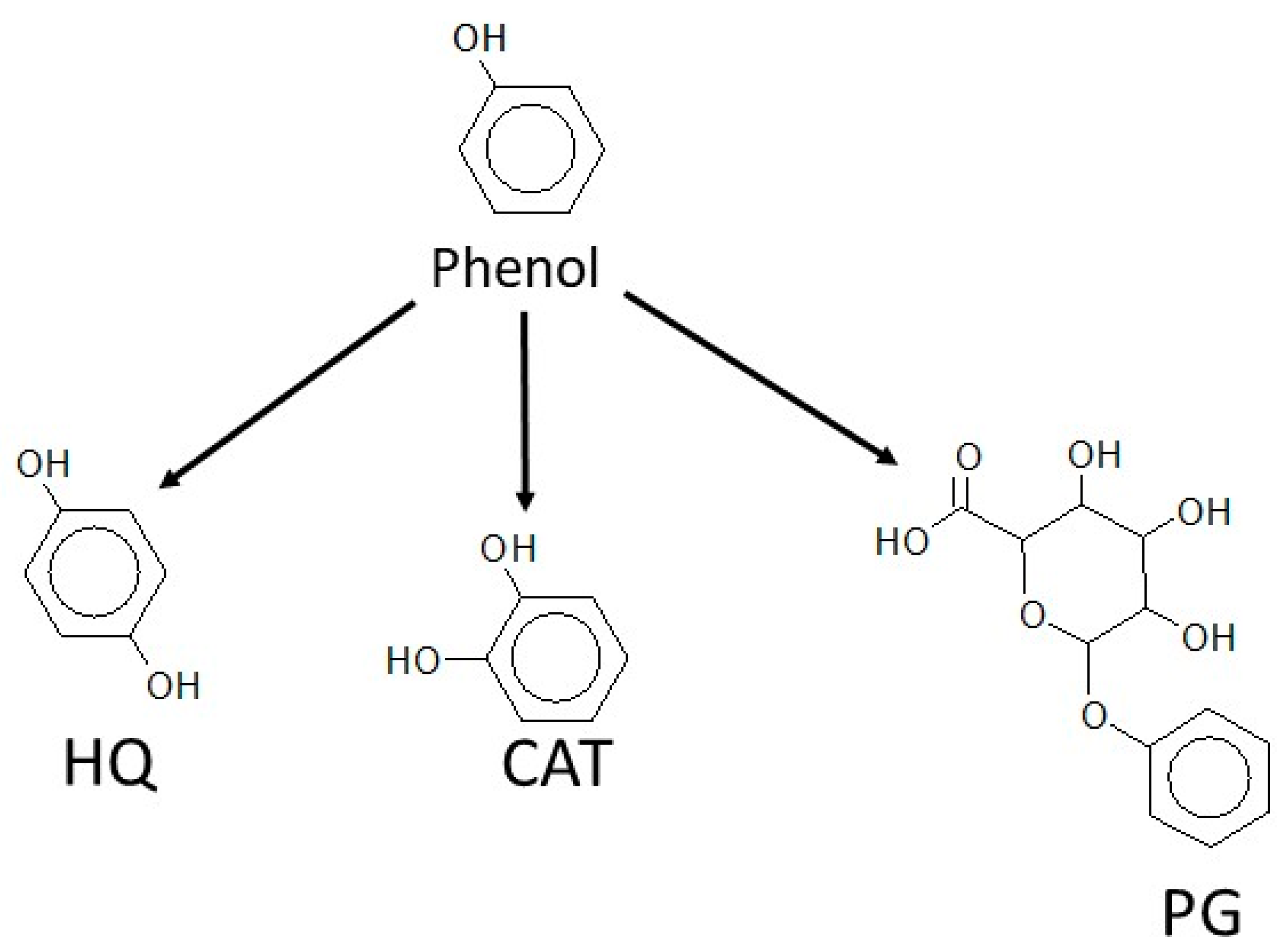 Fishes 09 00311 g007