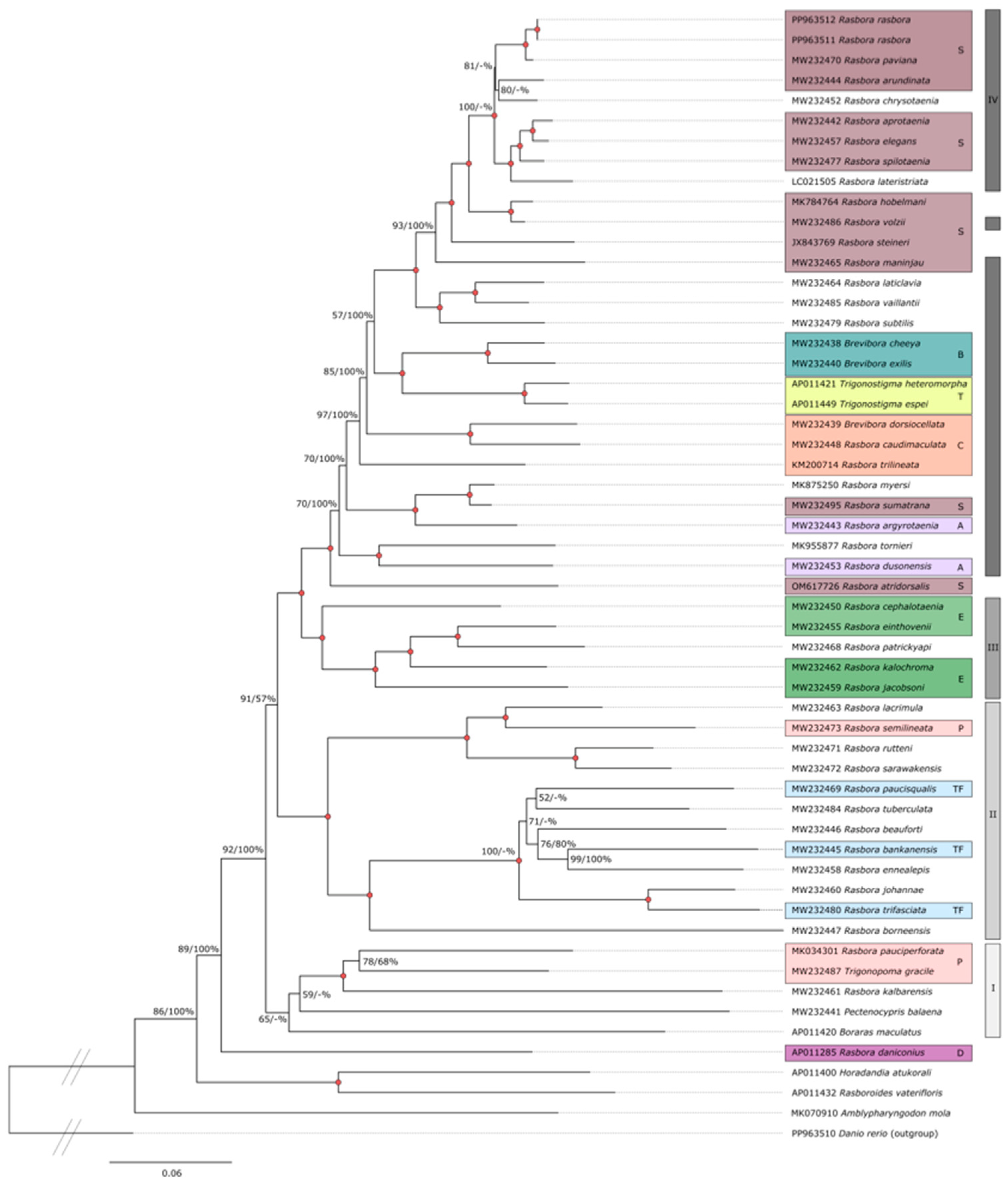 Fishes 09 00317 g004