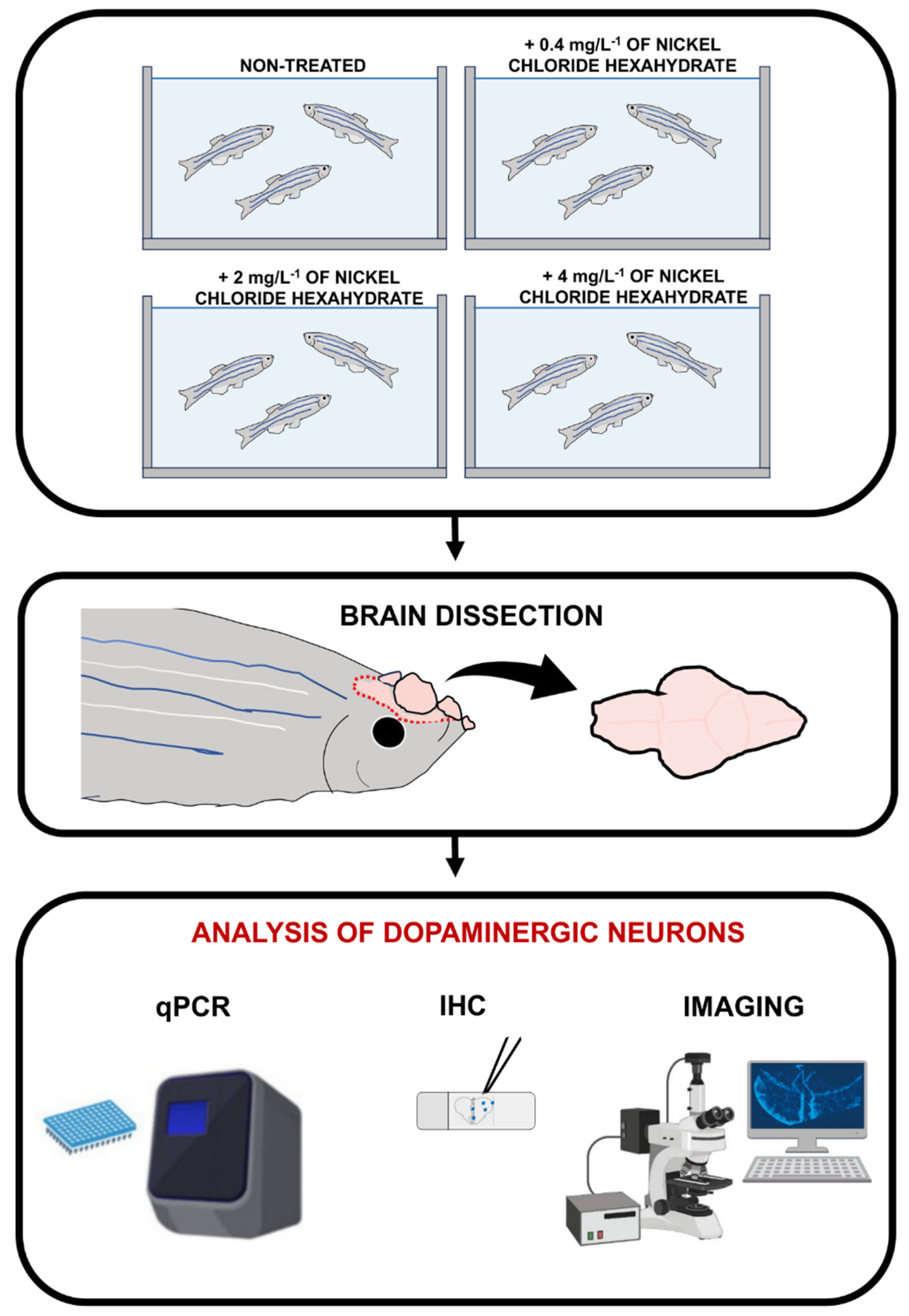 Fishes 09 00319 g001