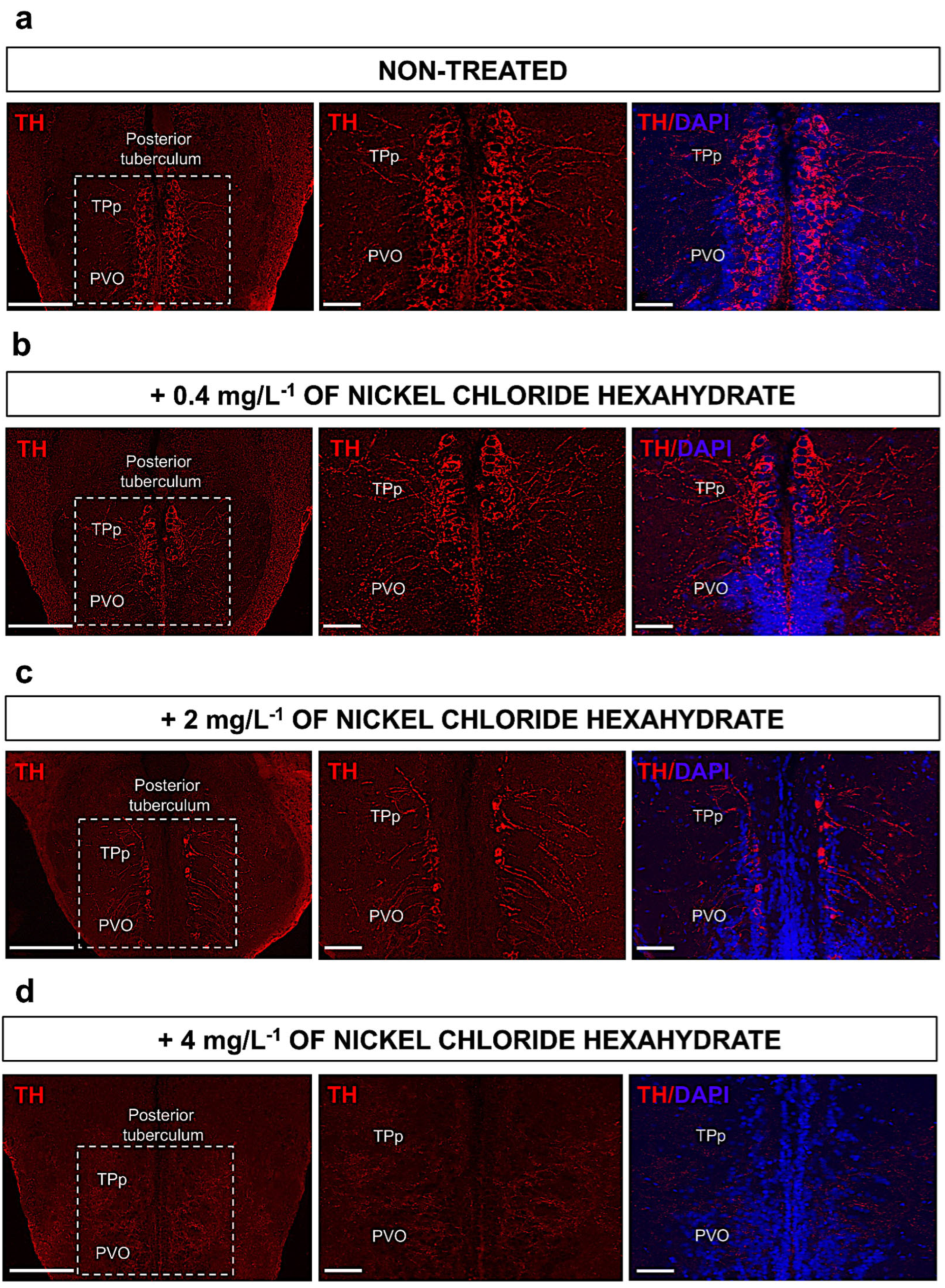 Fishes 09 00319 g003