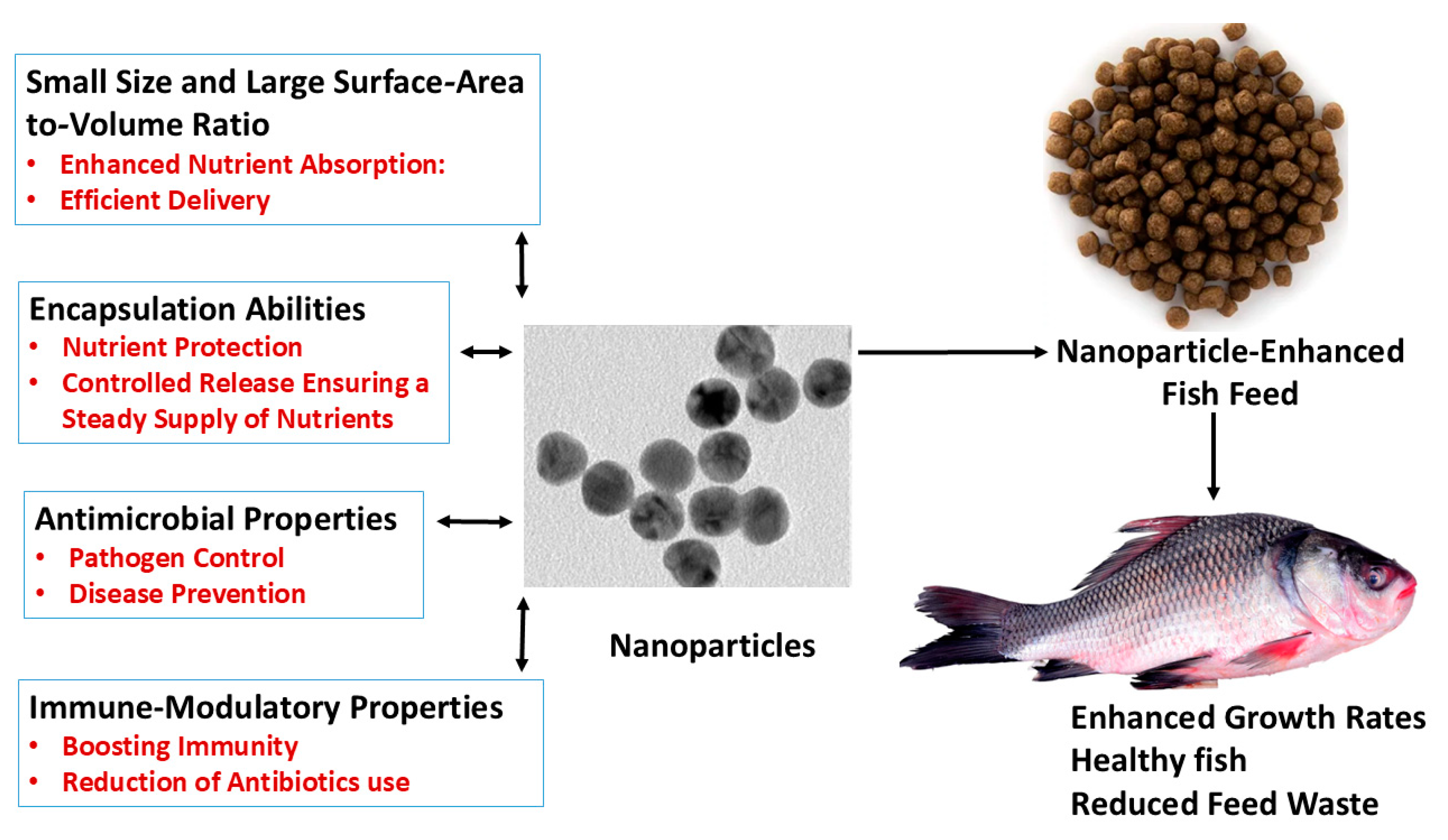 Fishes 09 00322 g001