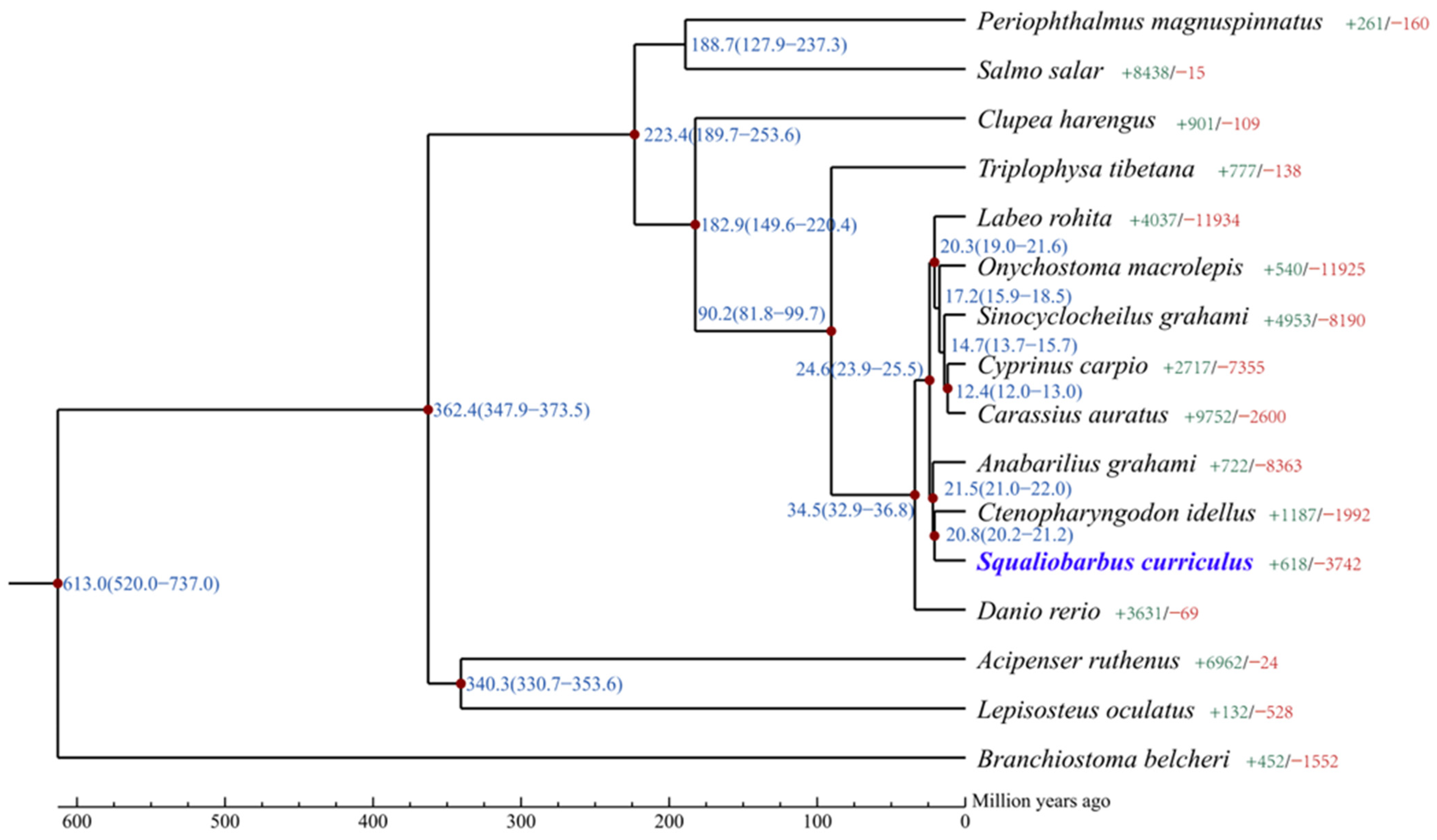 Fishes 09 00327 g003