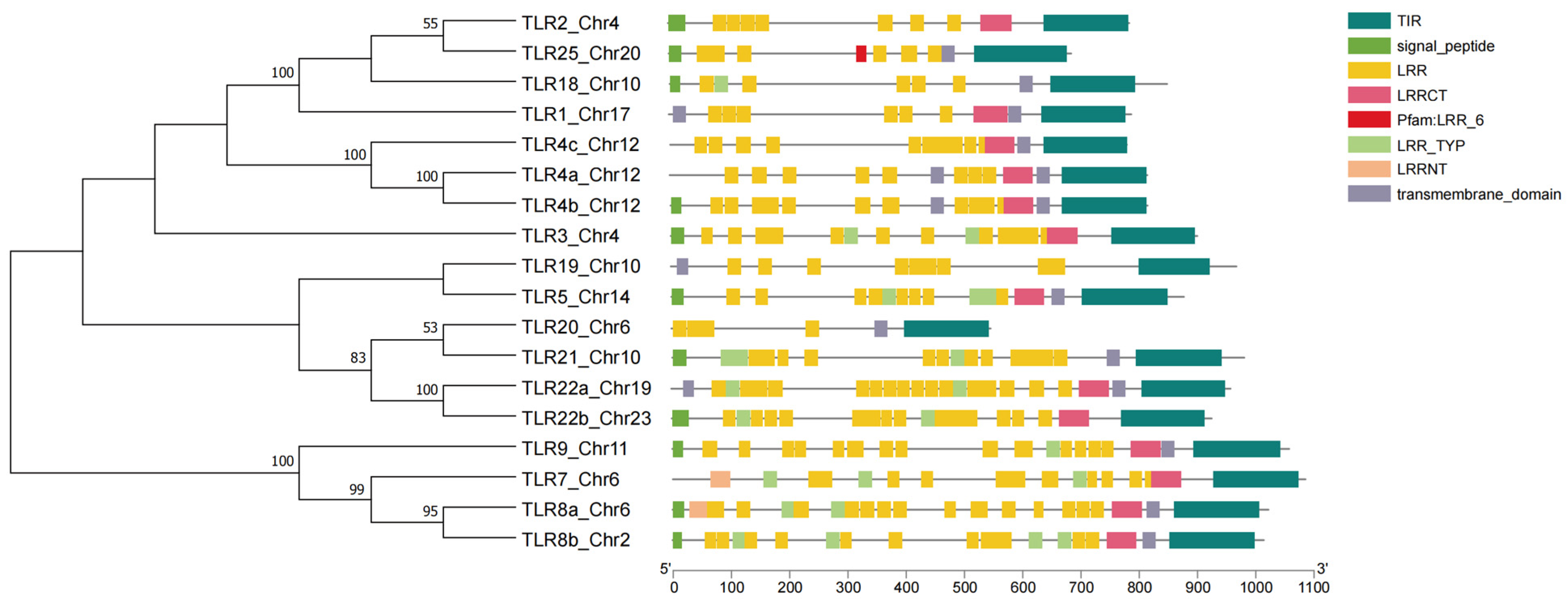 Fishes 09 00327 g004