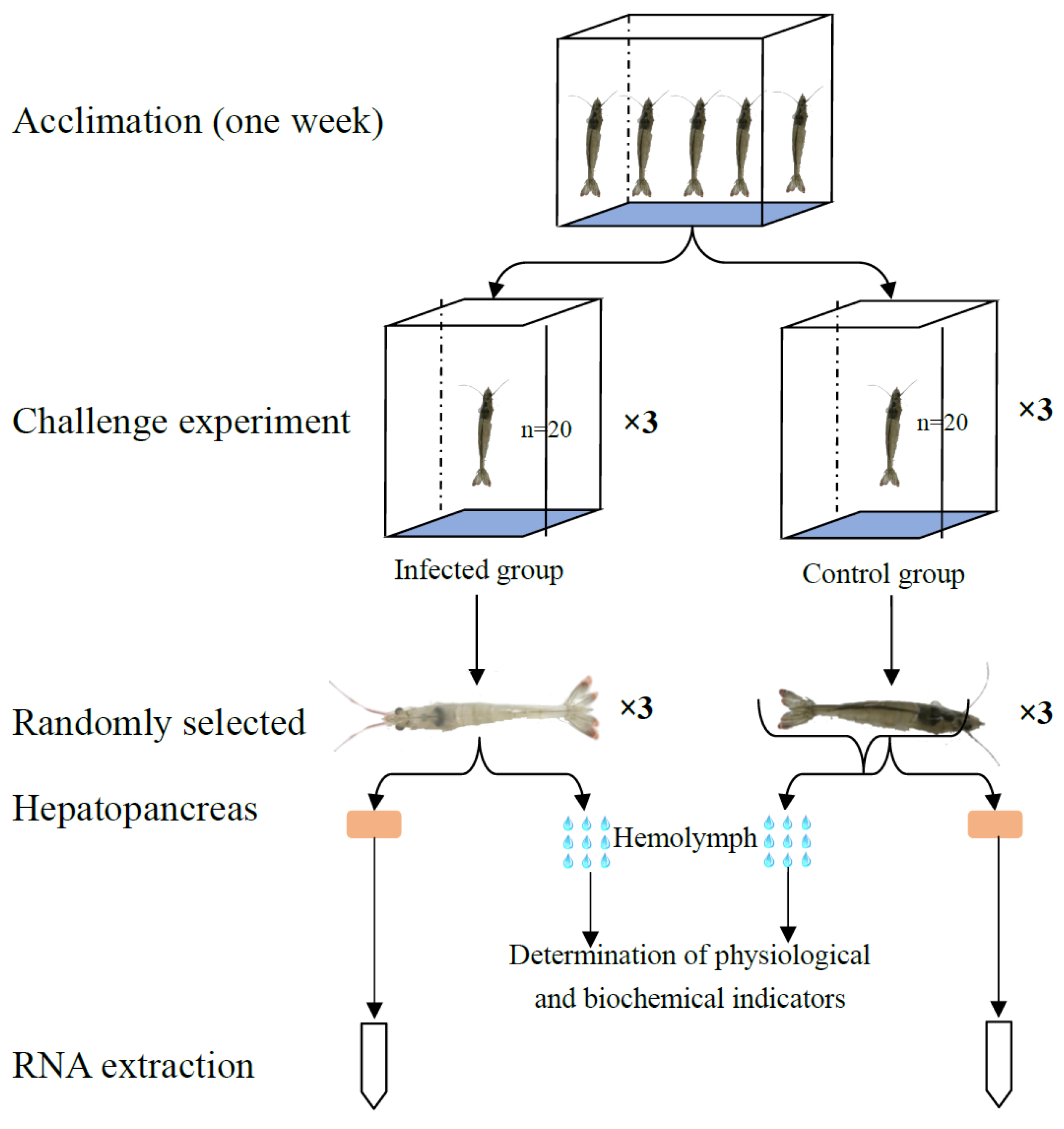 Fishes 09 00350 g001