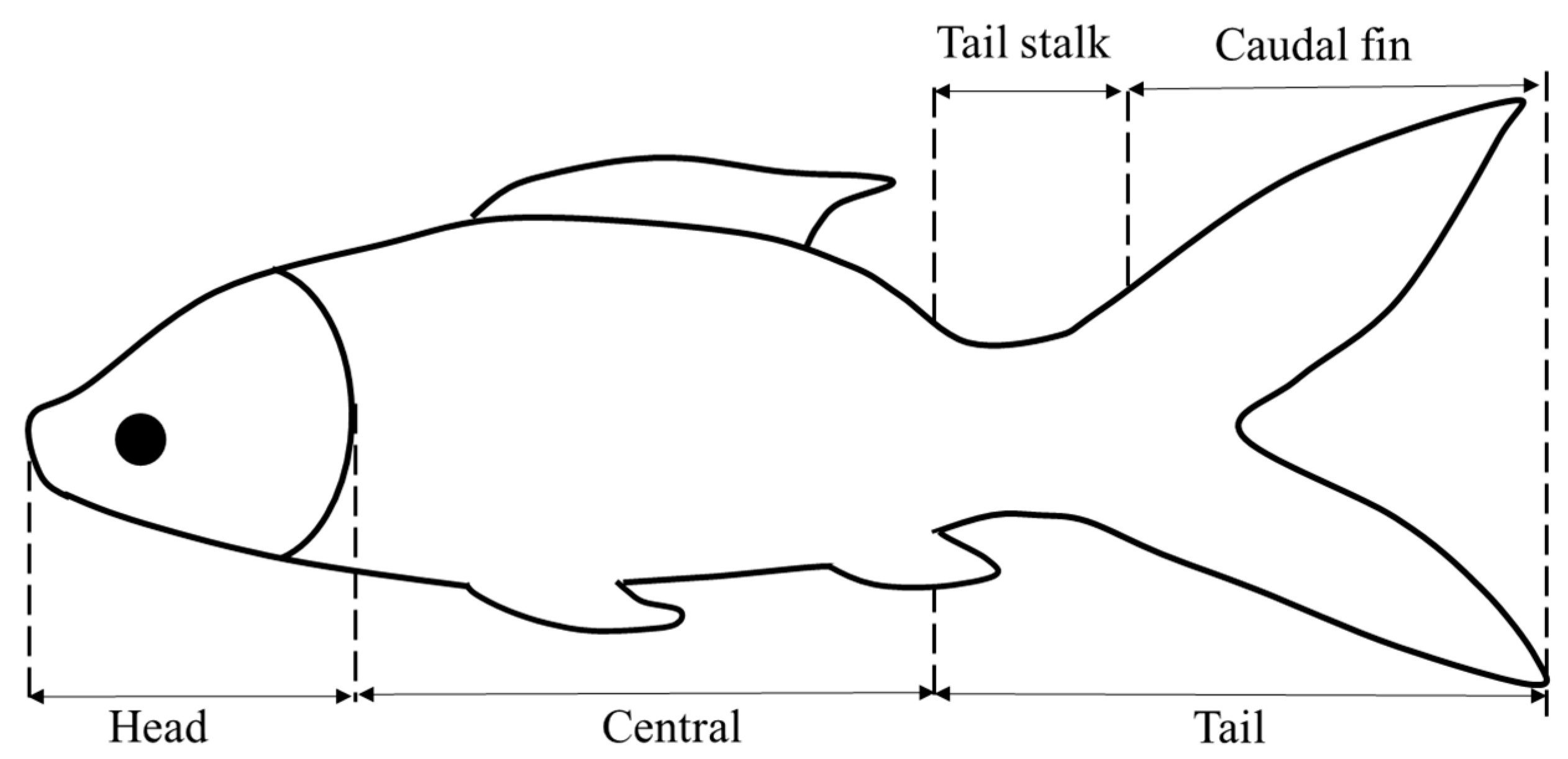 Fishes 09 00365 g001