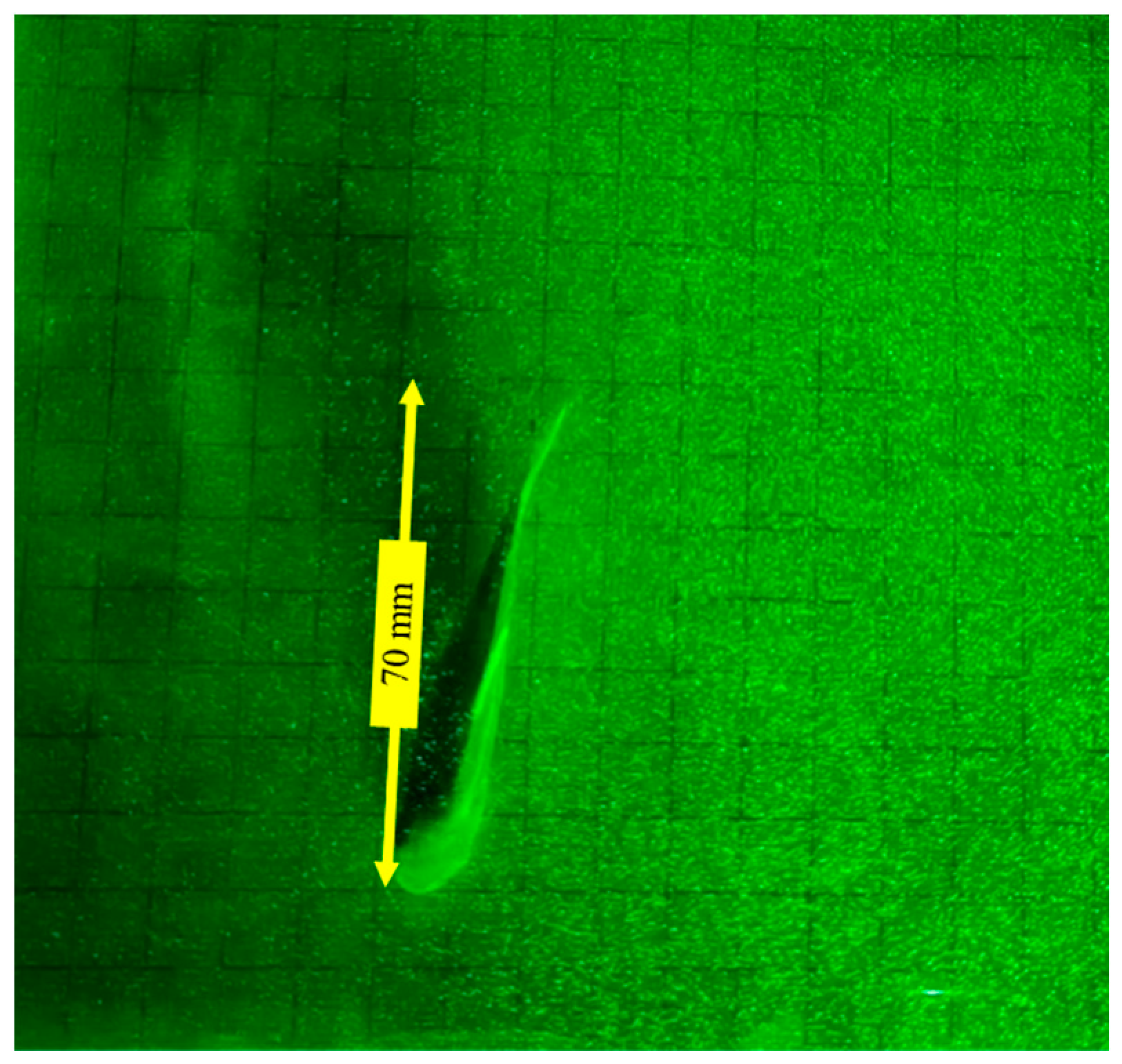 Fishes 09 00365 g003