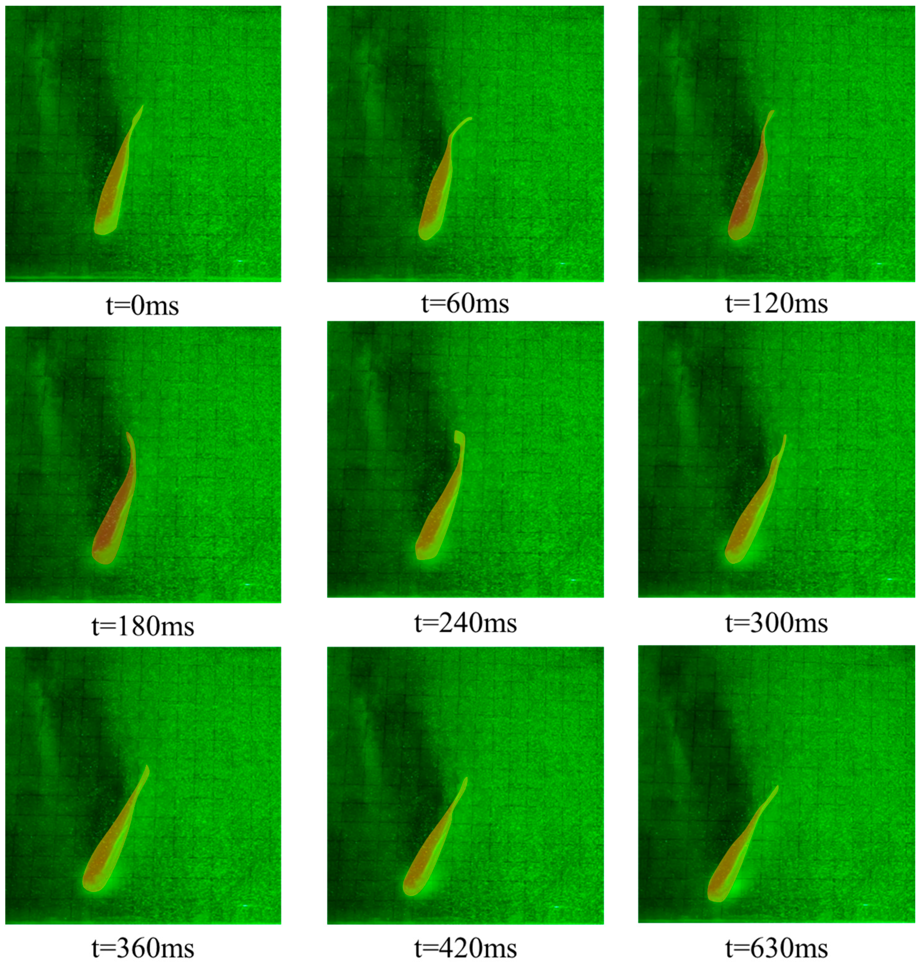Fishes 09 00365 g008