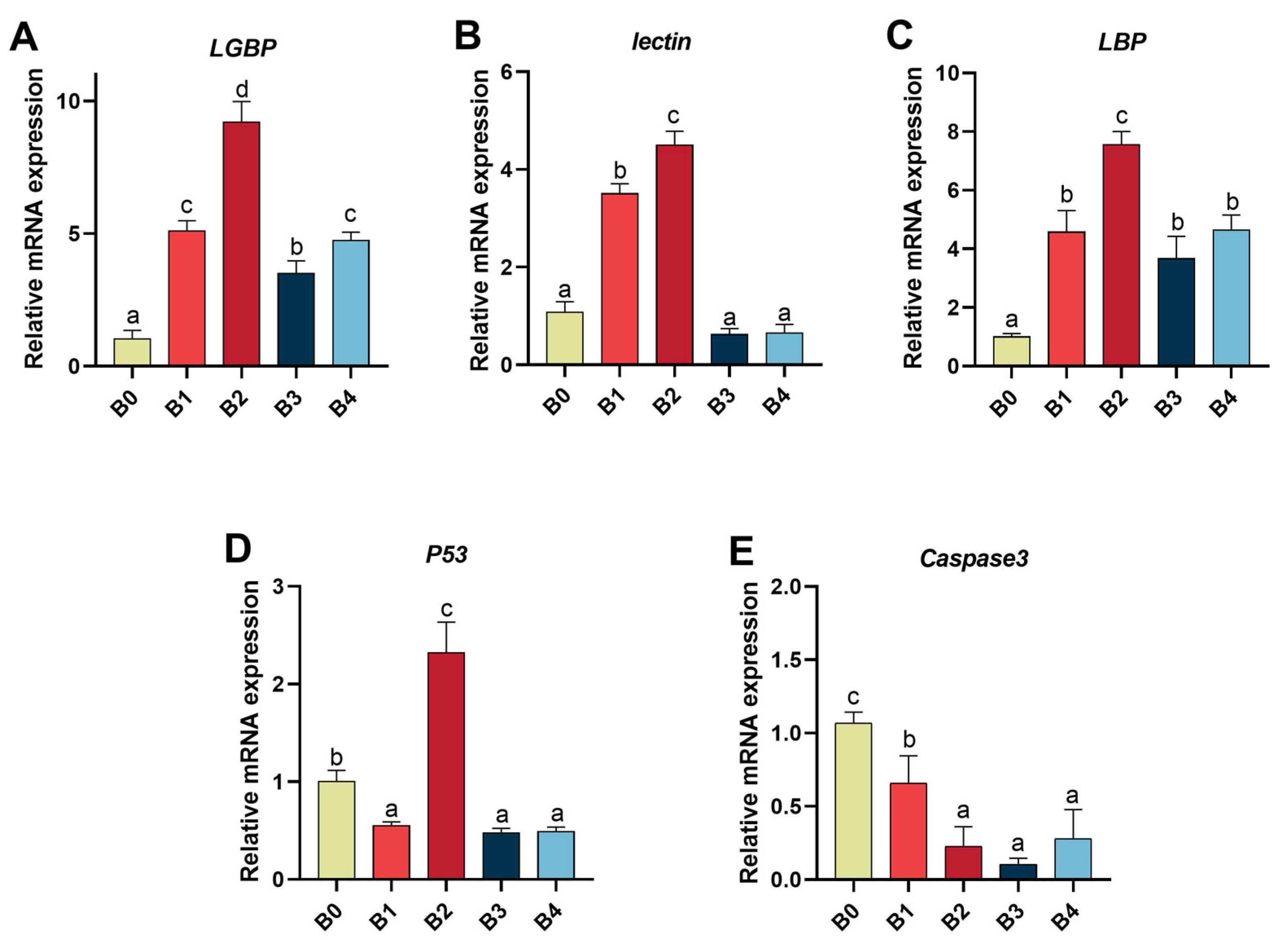 Fishes 09 00379 g004