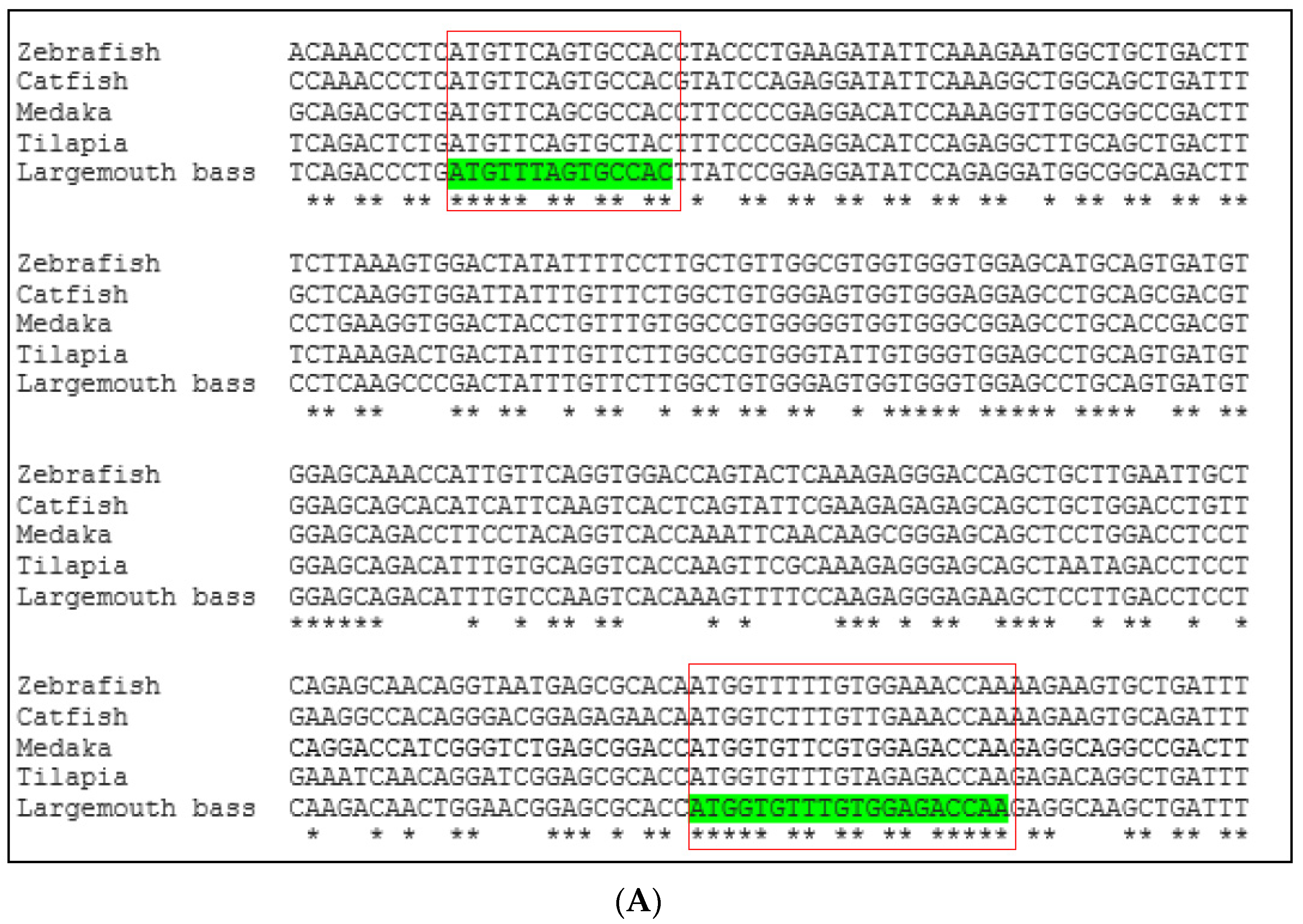 Fishes 09 00394 g001a Fishes 09 00394 g001a
