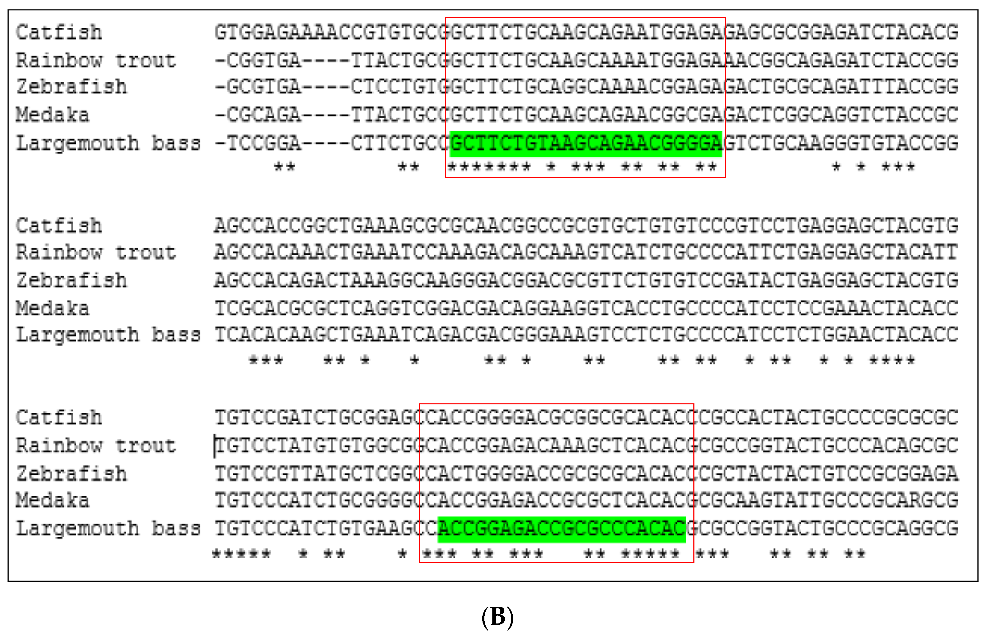 Fishes 09 00394 g001b Fishes 09 00394 g001b