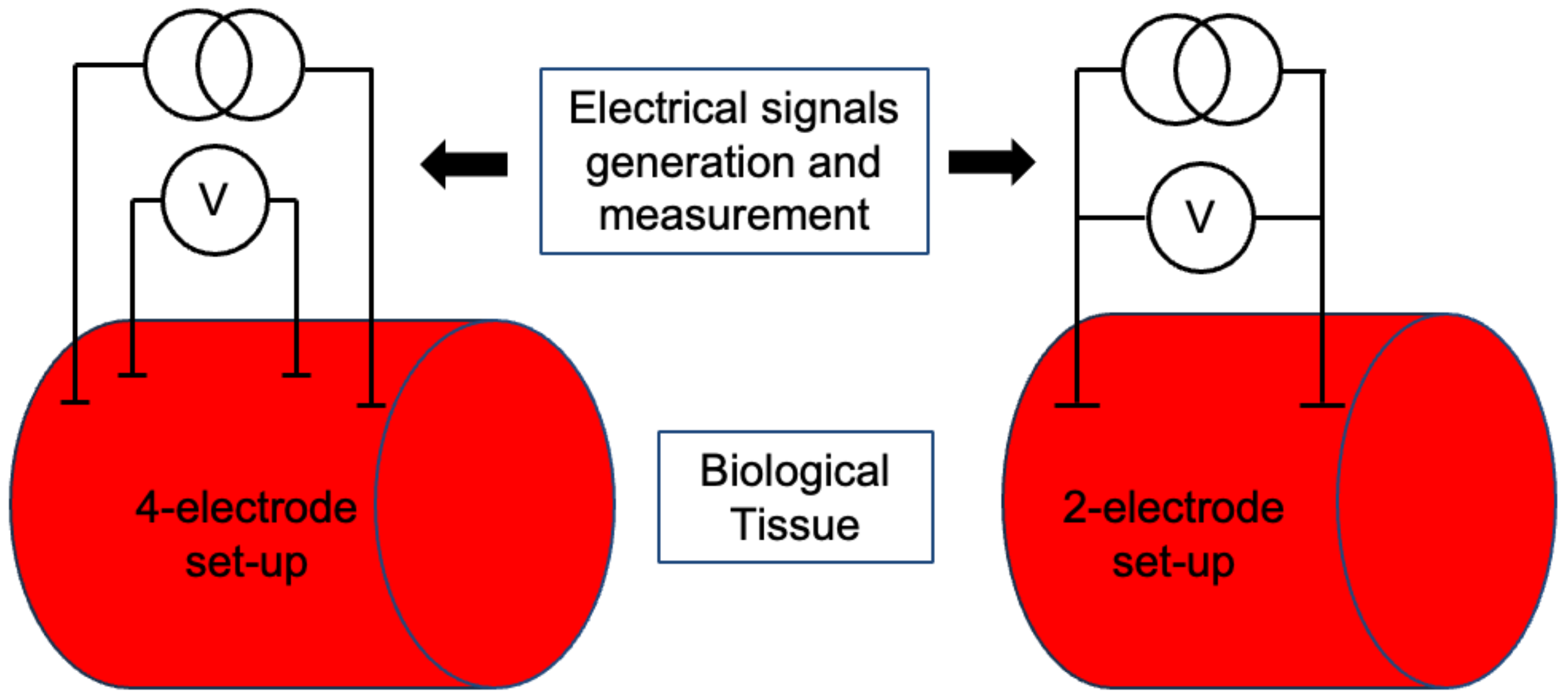 Fishes 09 00399 g001 Fishes 09 00399 g001