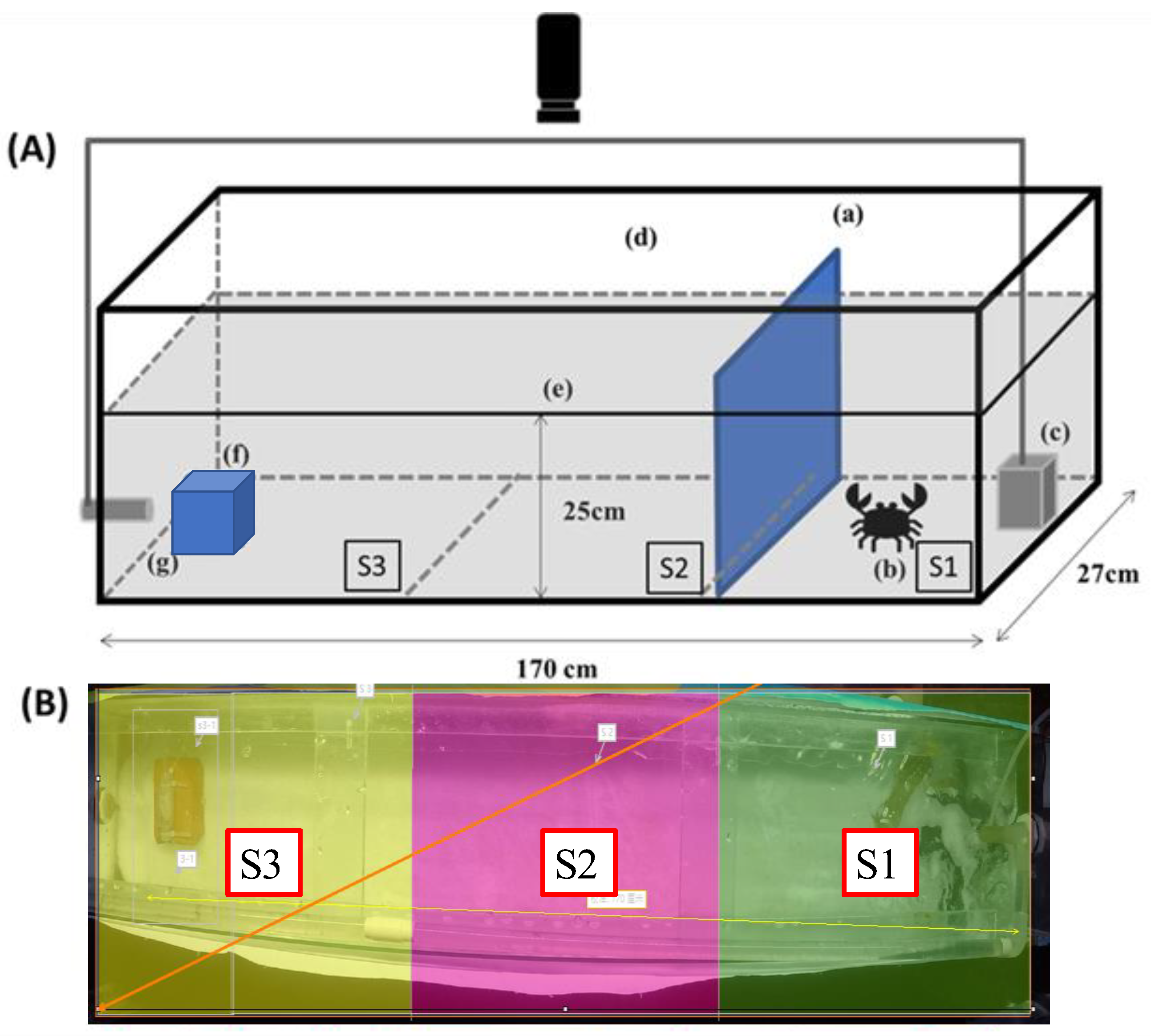 Fishes 09 00400 g001