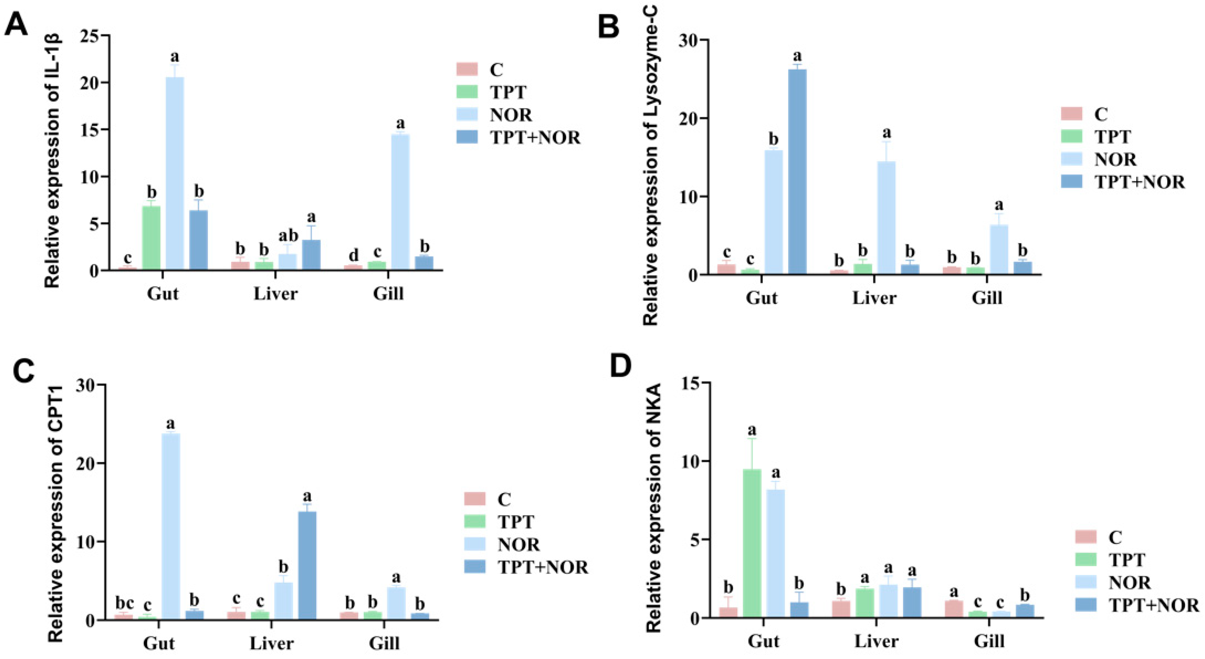 Fishes 09 00415 g004