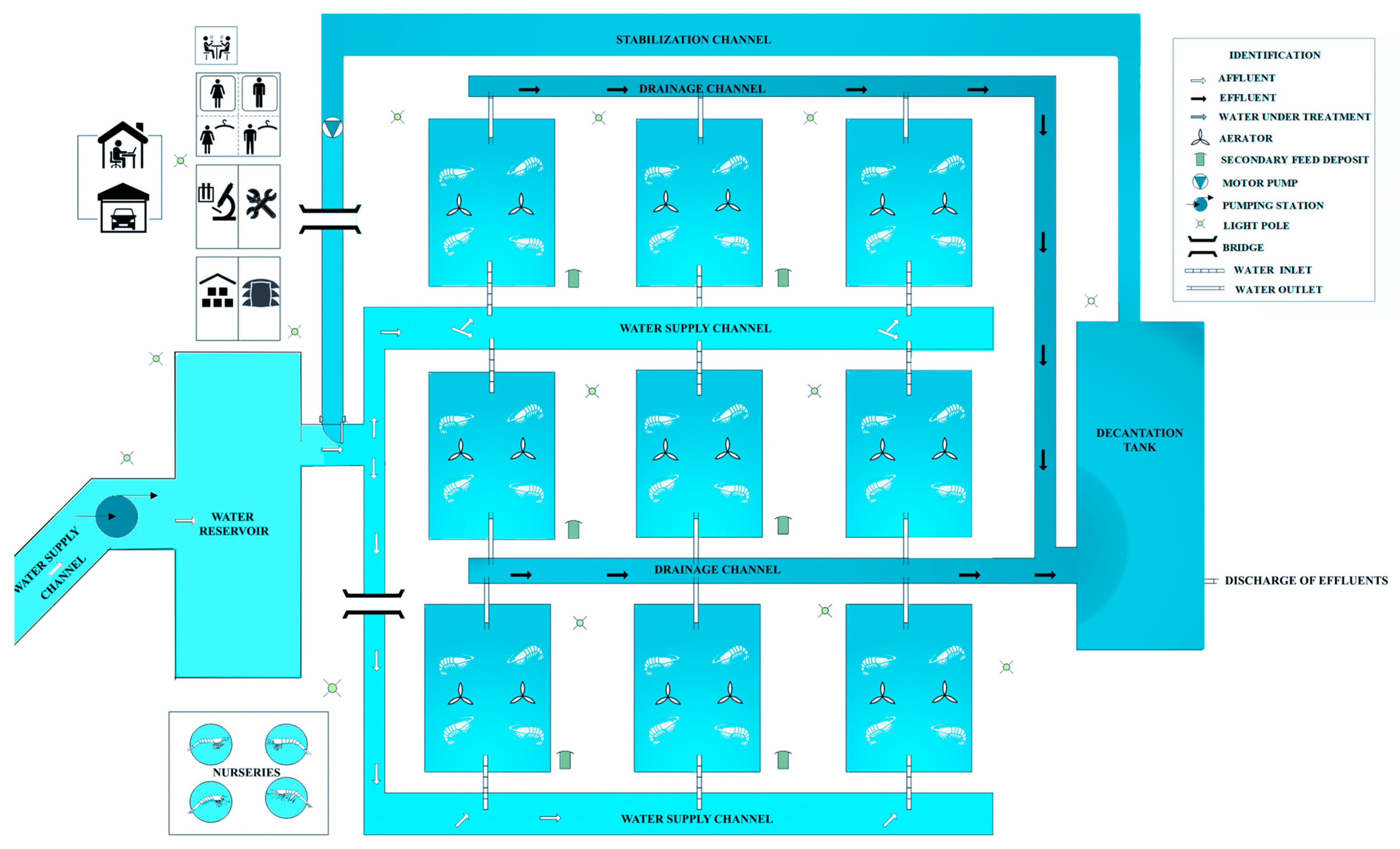 Fishes 09 00440 g002