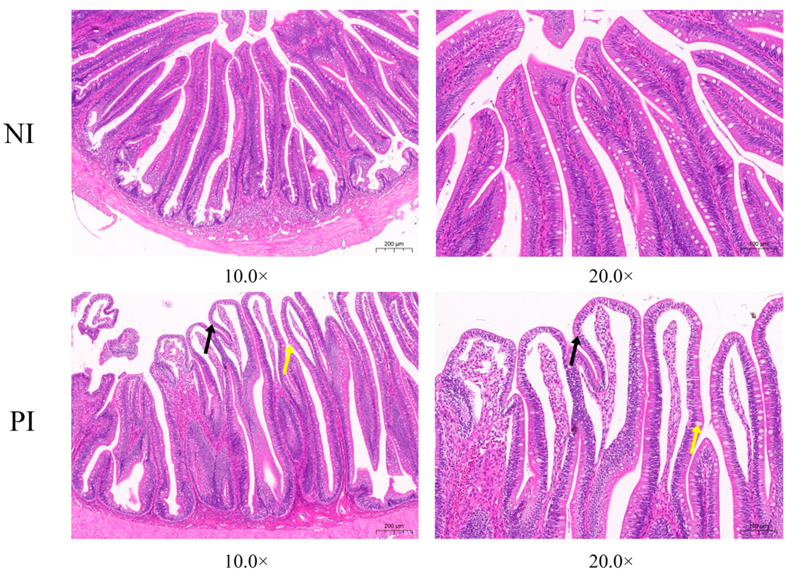 Fishes 09 00452 g002