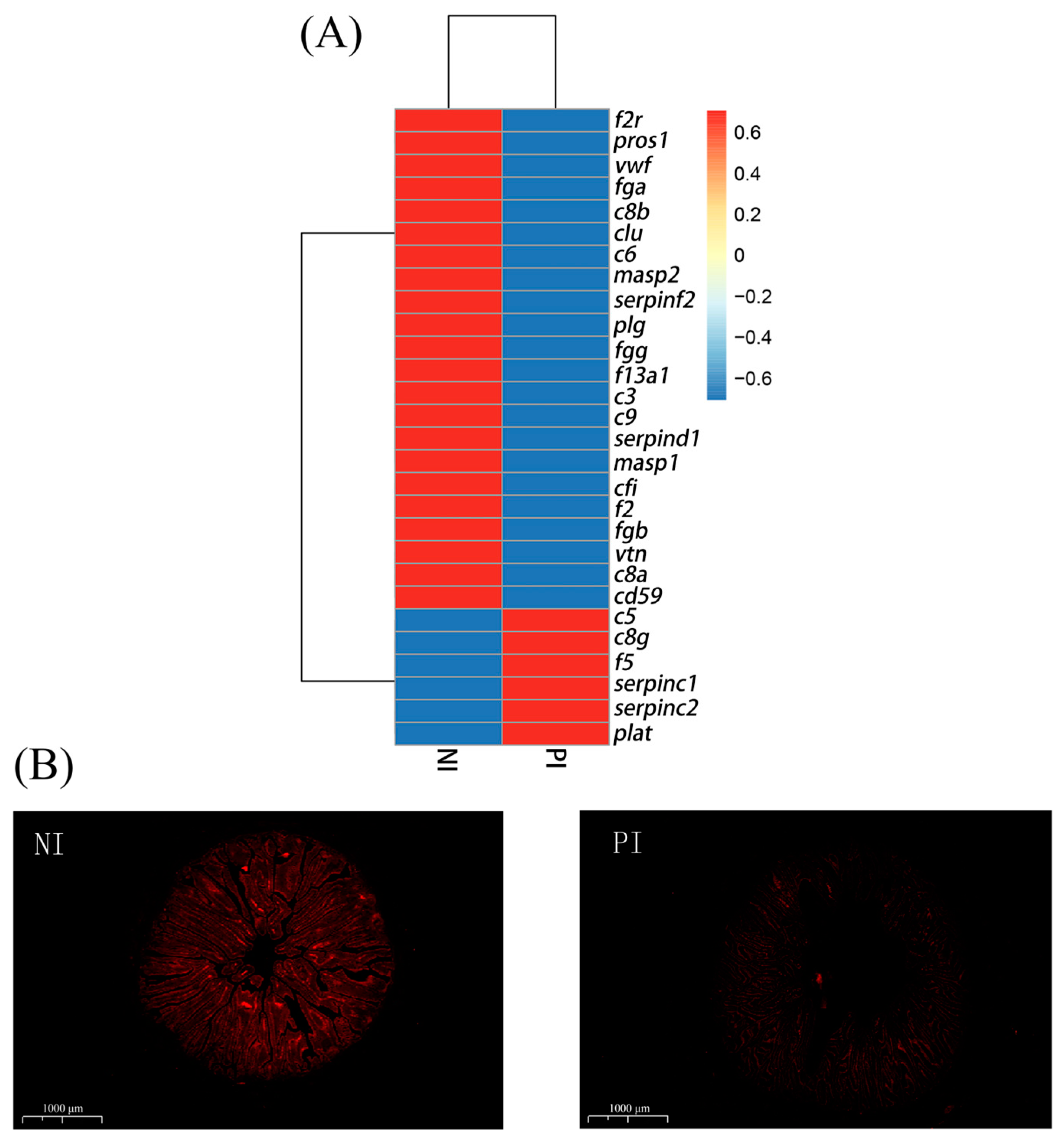 Fishes 09 00452 g006