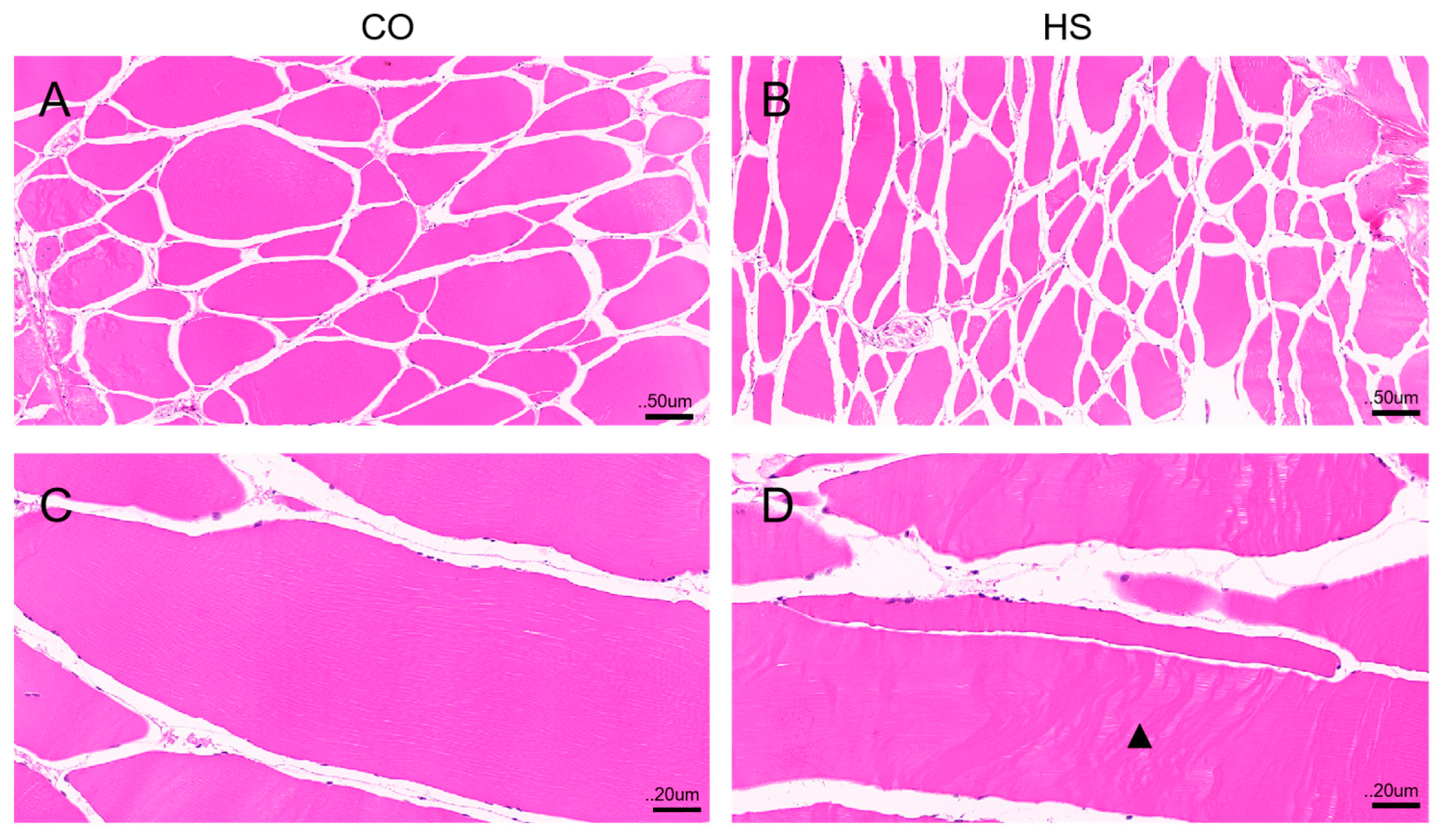 Fishes 09 00459 g001