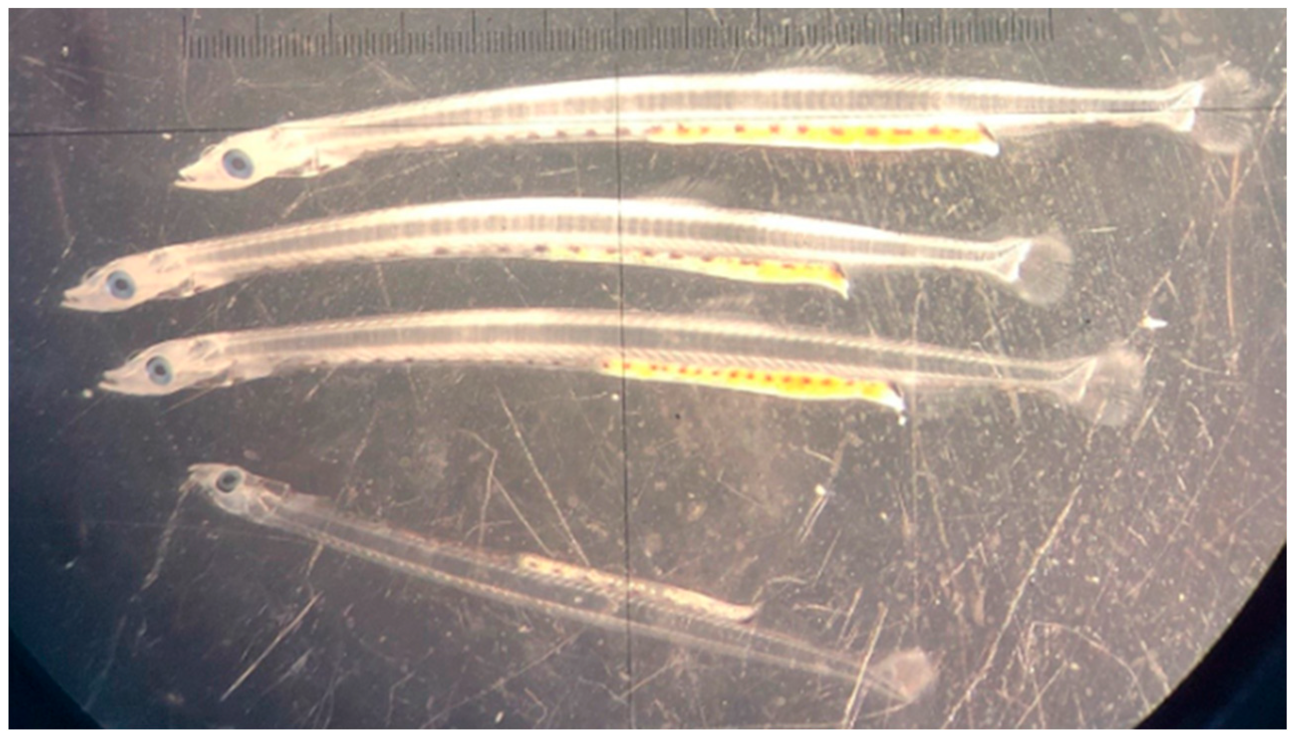 Fishes 09 00460 g002 Fishes 09 00460 g002