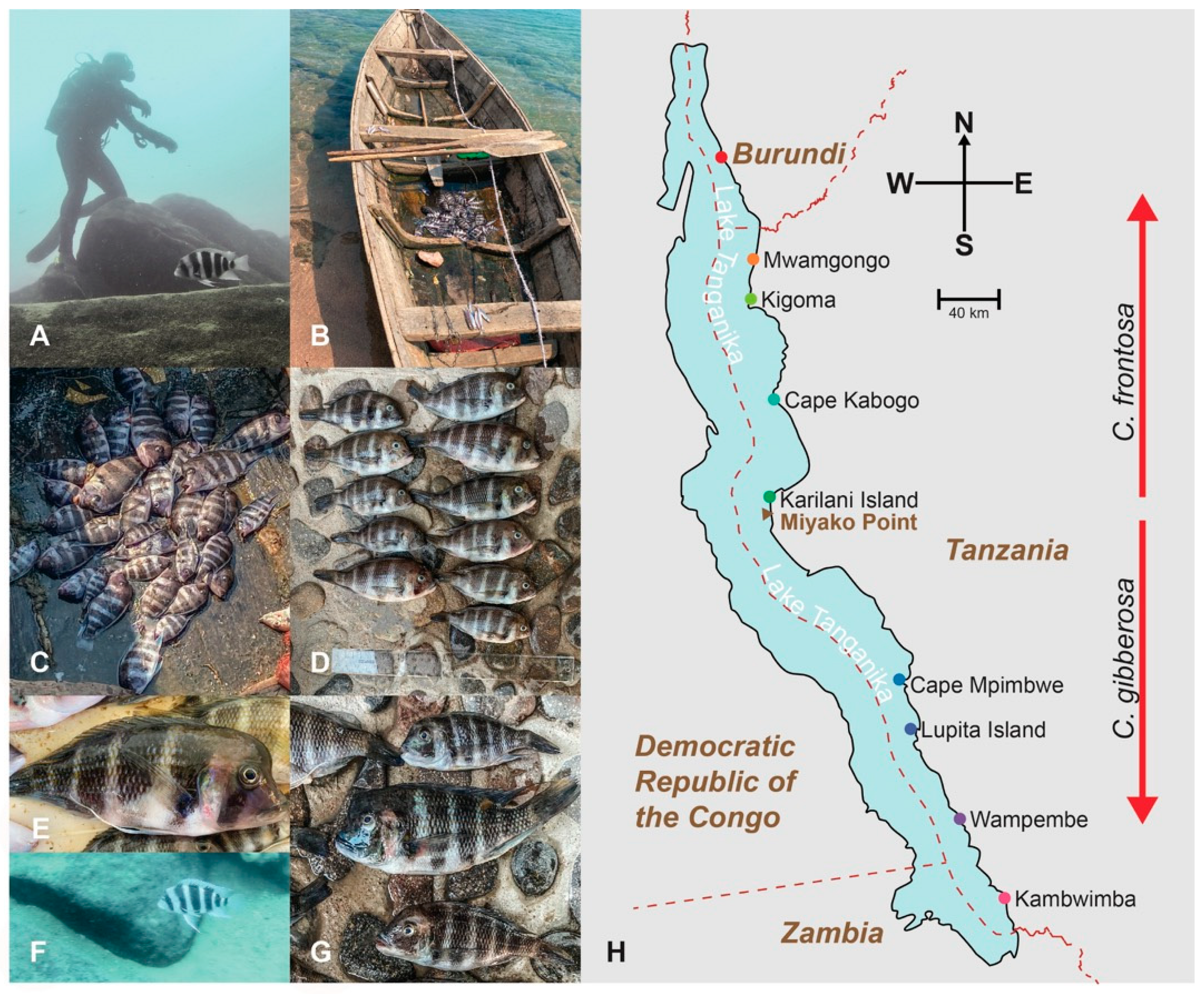 Fishes 09 00481 g001