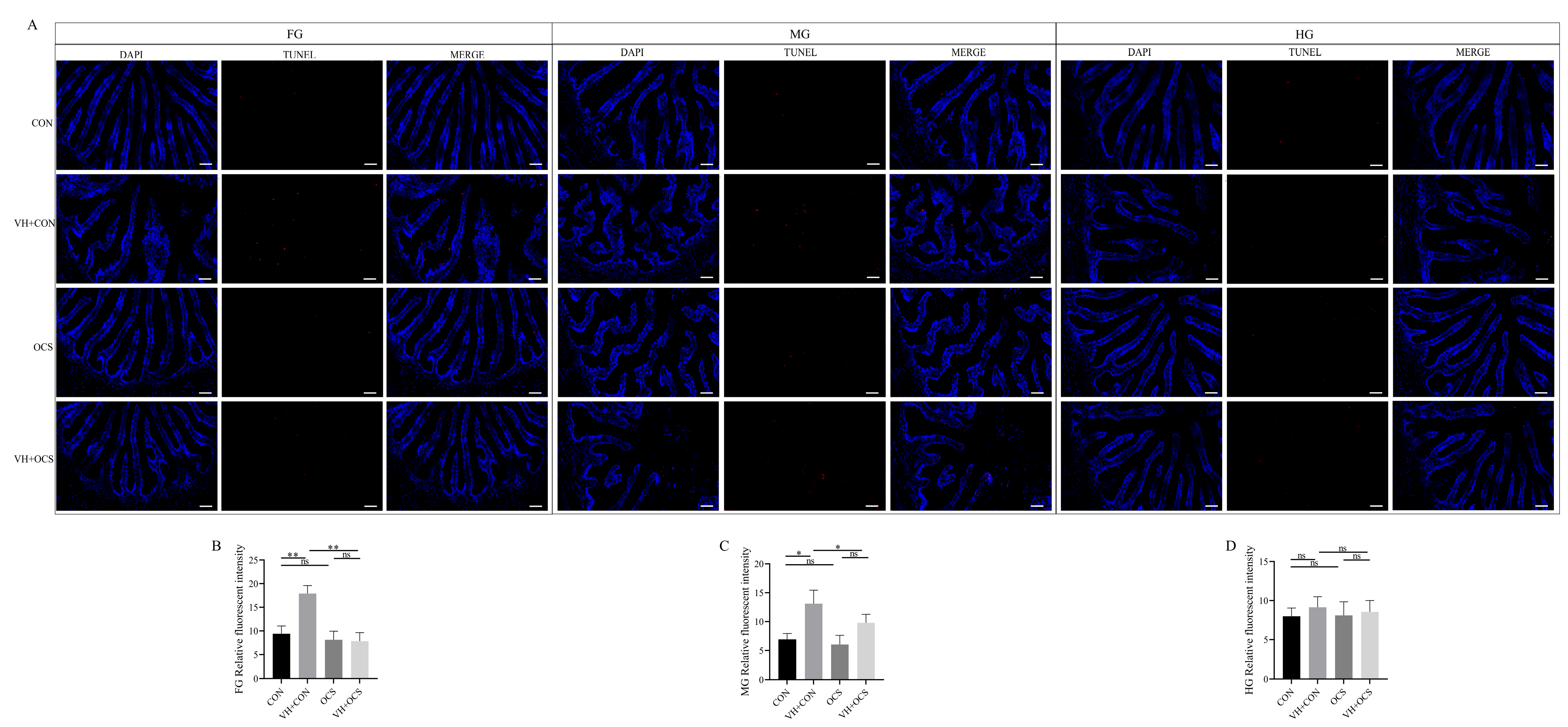 Fishes 09 00506 g007