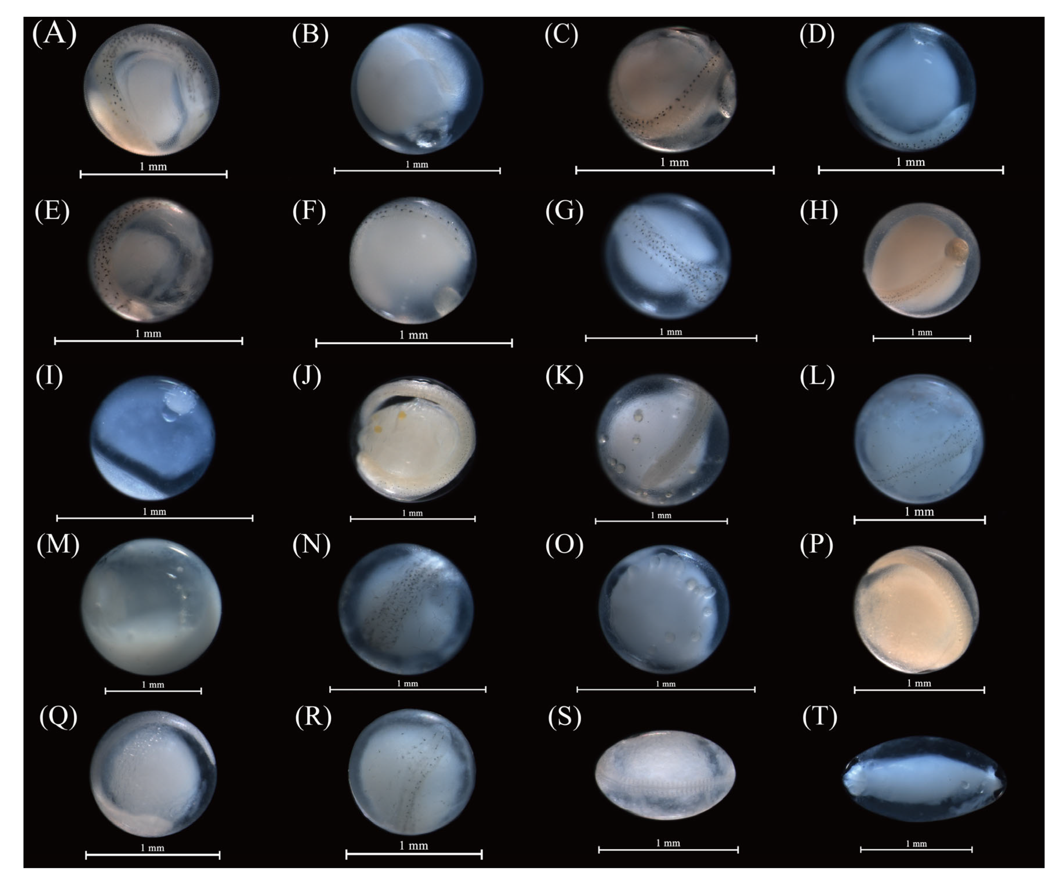 Fishes 09 00510 g006