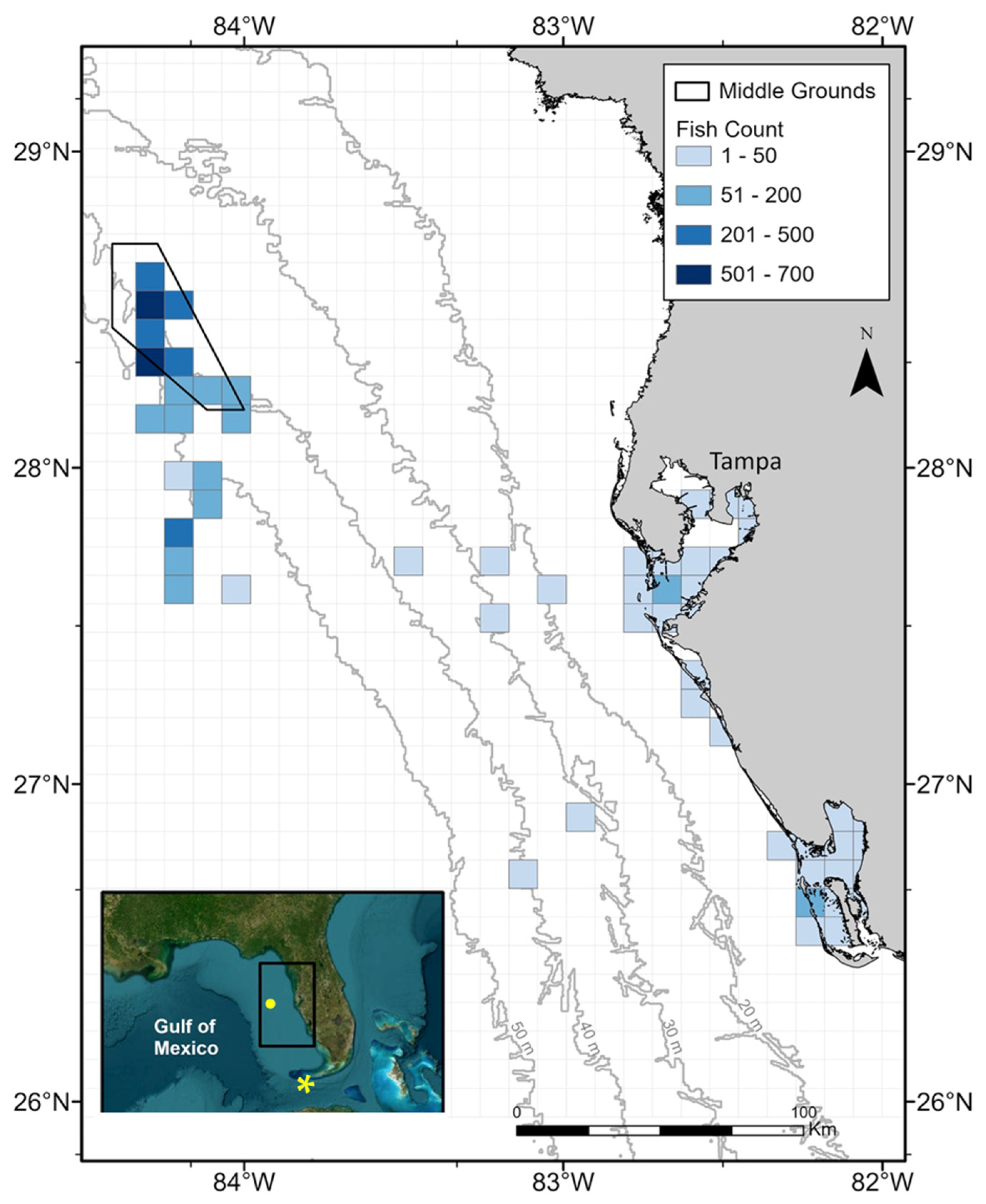 Fishes 09 00513 g001