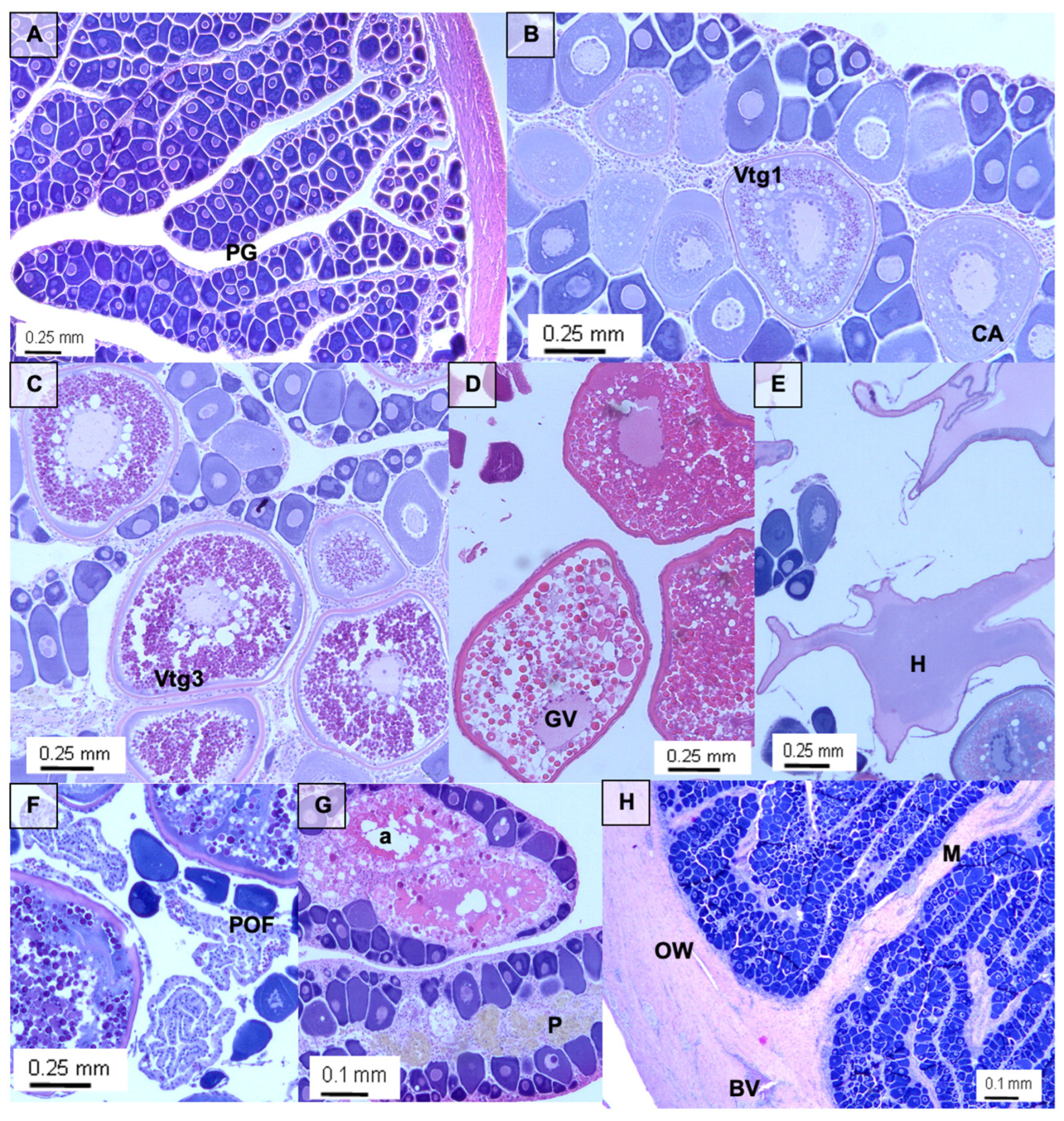 Fishes 09 00513 g004