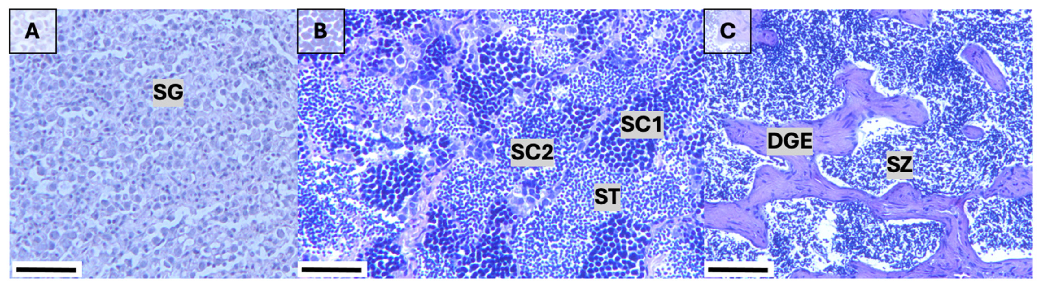 Fishes 09 00513 g006