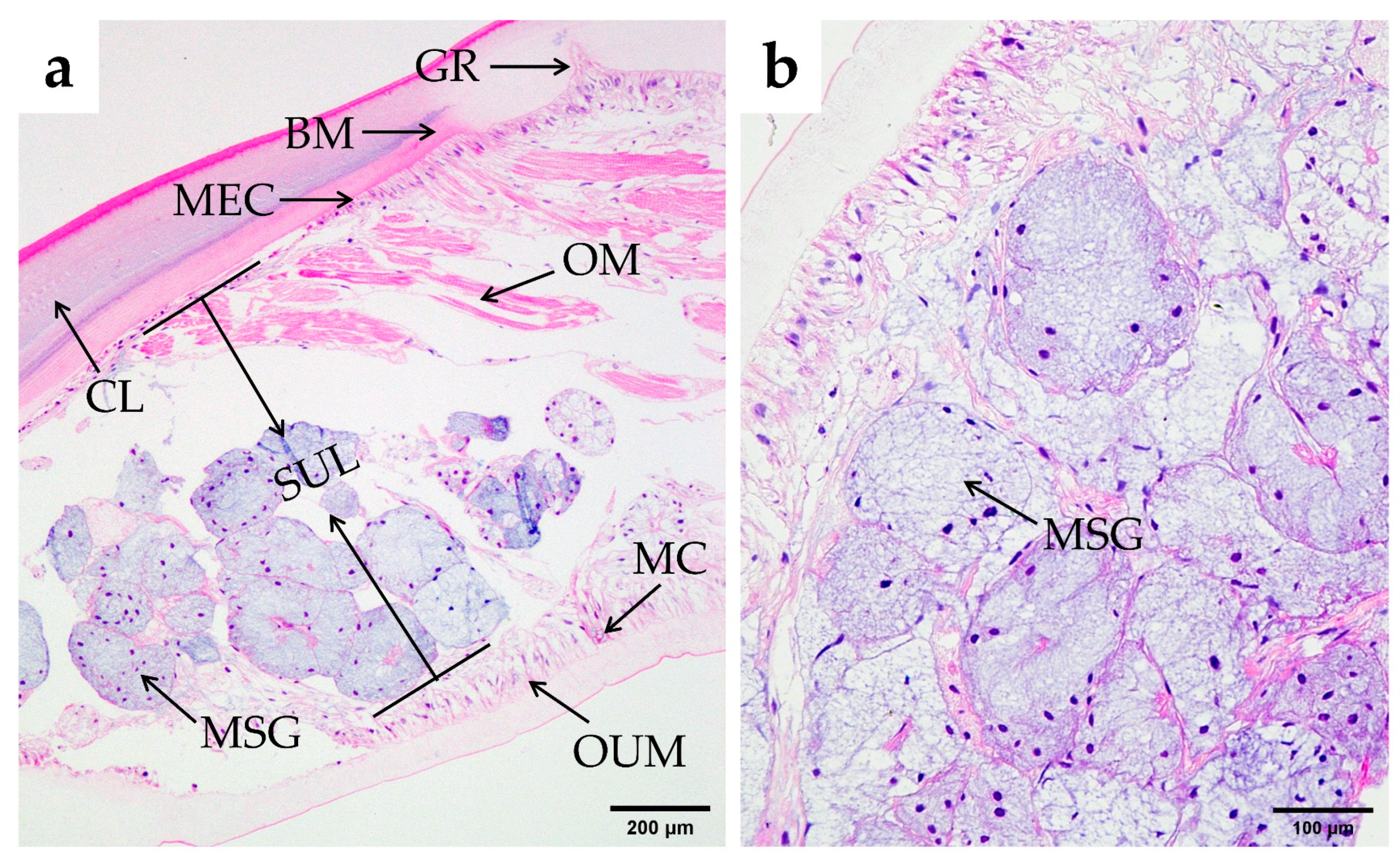 Fishes 10 00071 g003