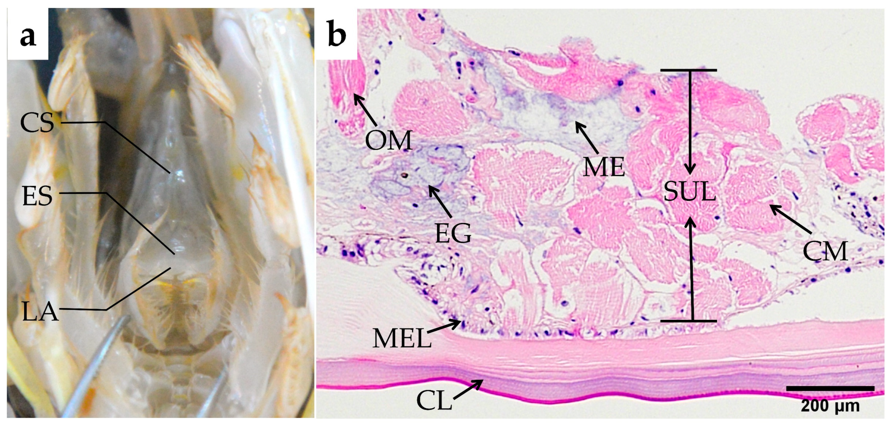 Fishes 10 00071 g004