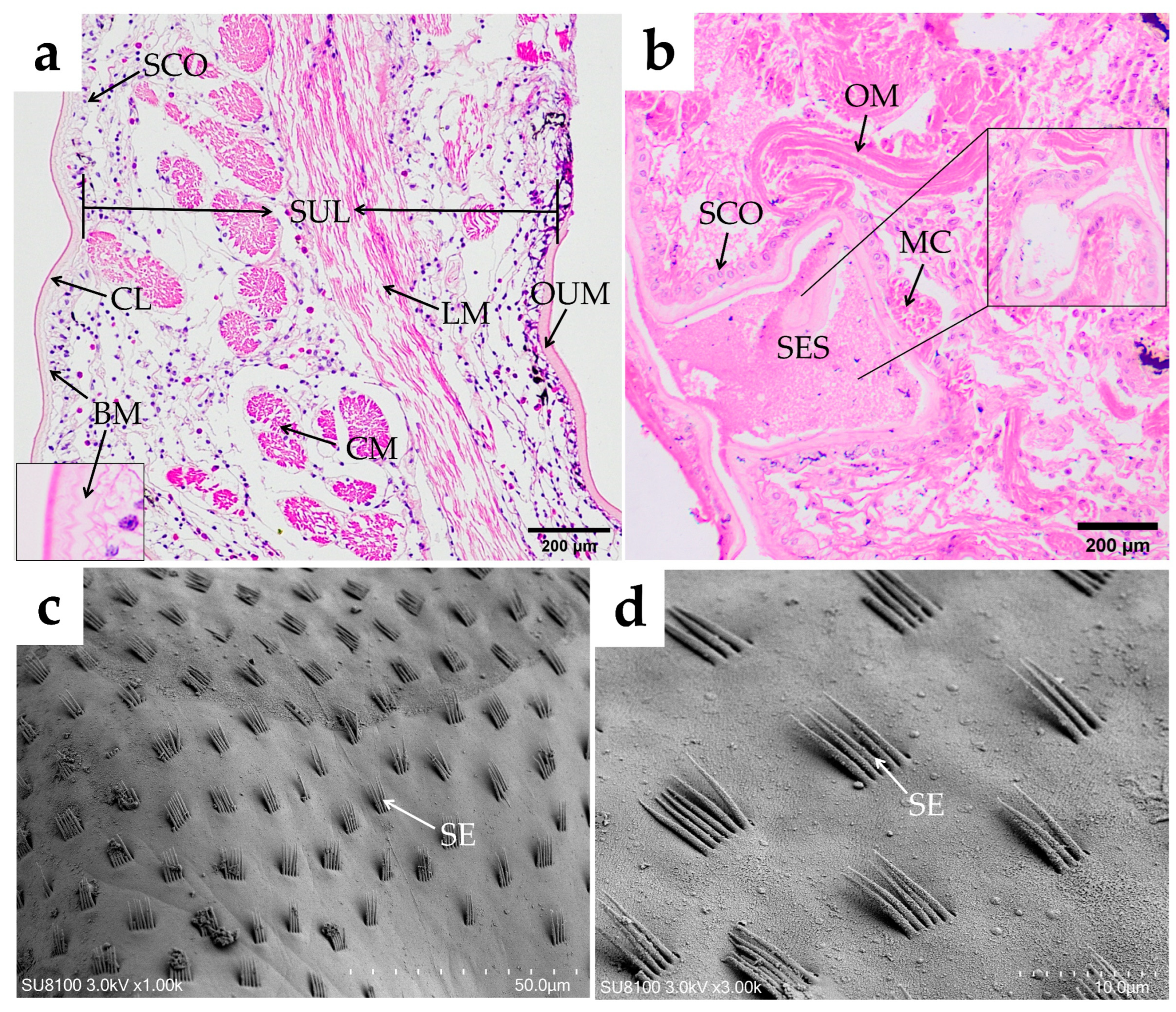 Fishes 10 00071 g005