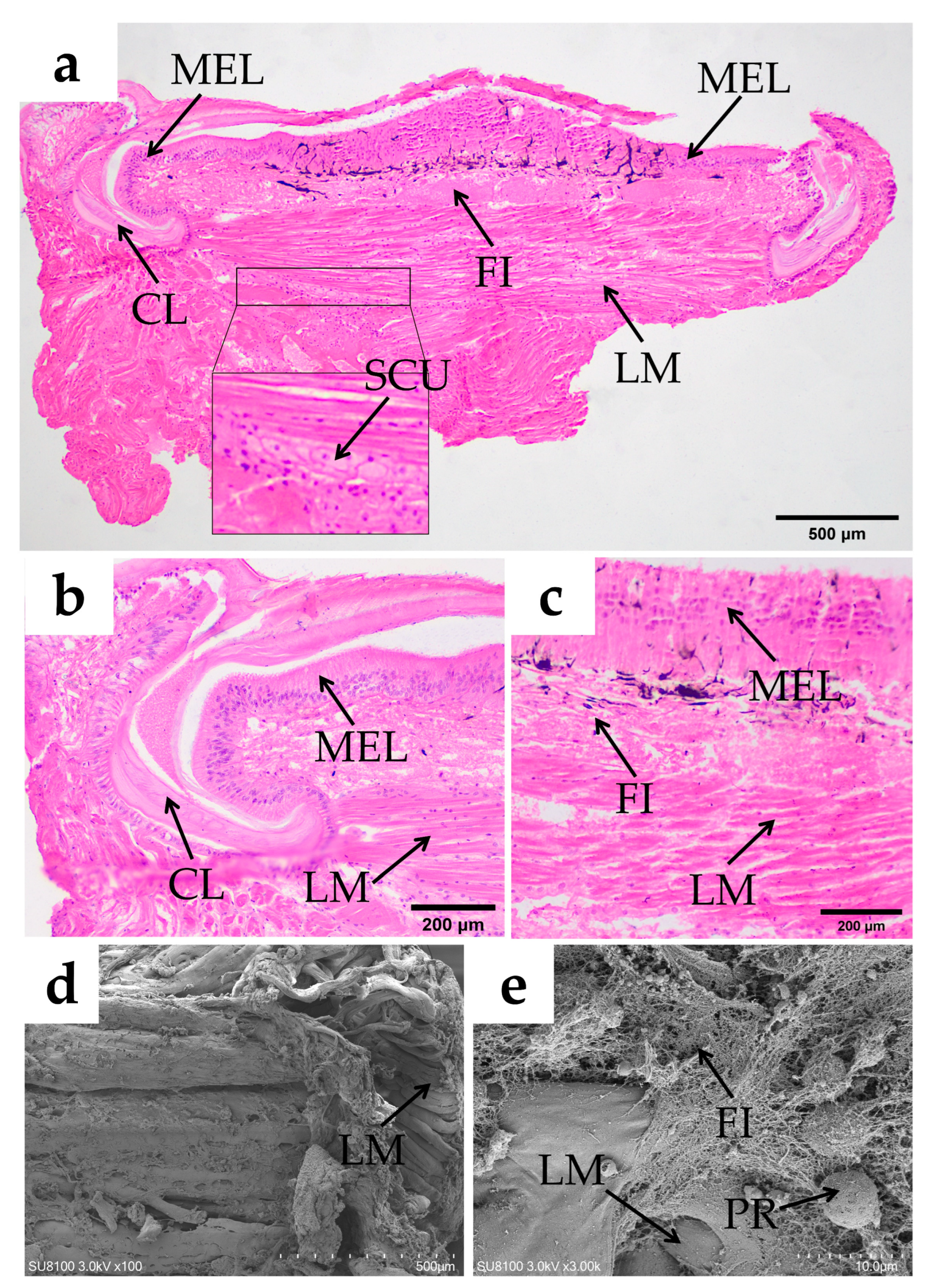 Fishes 10 00071 g006