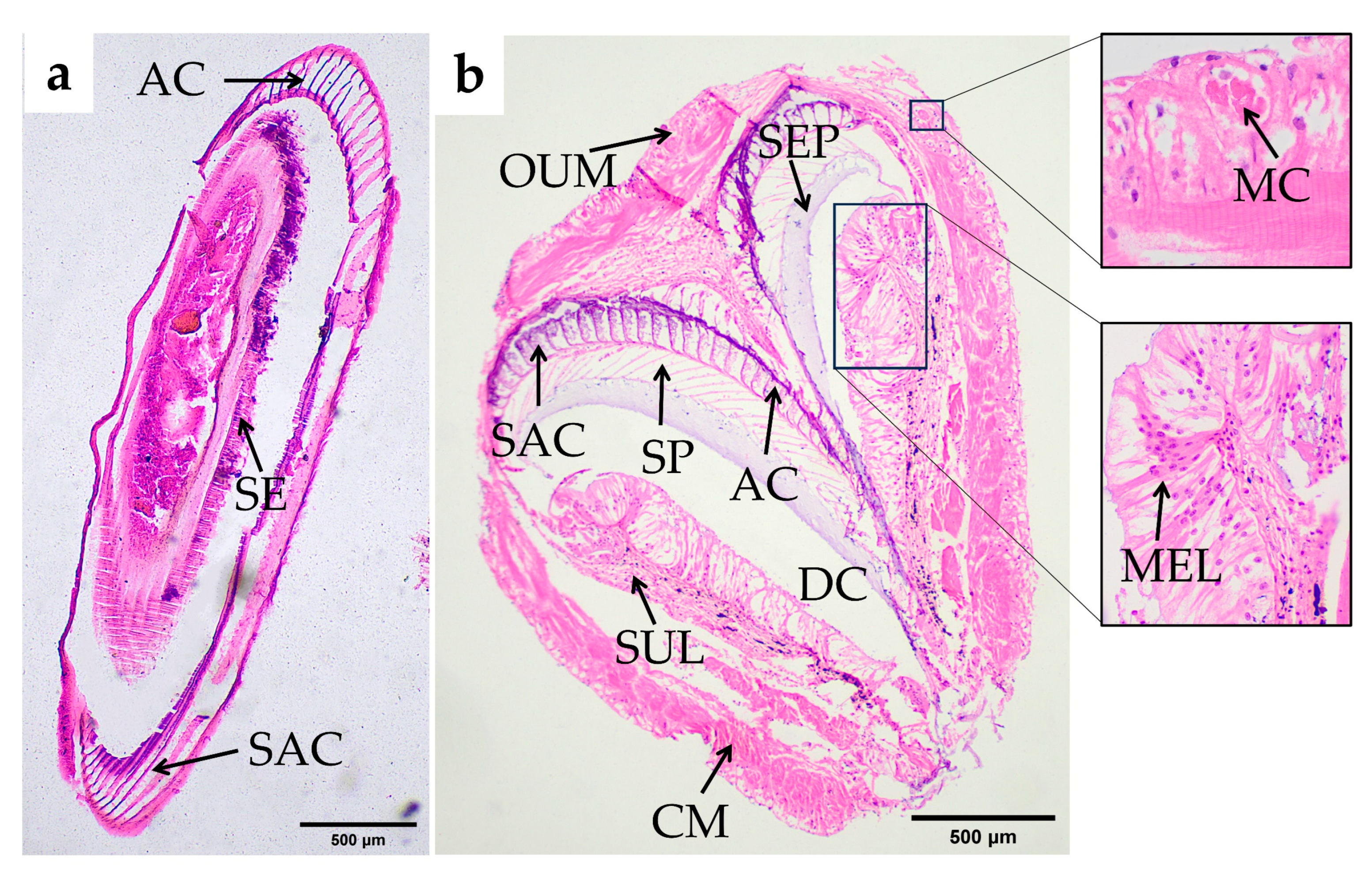 Fishes 10 00071 g007