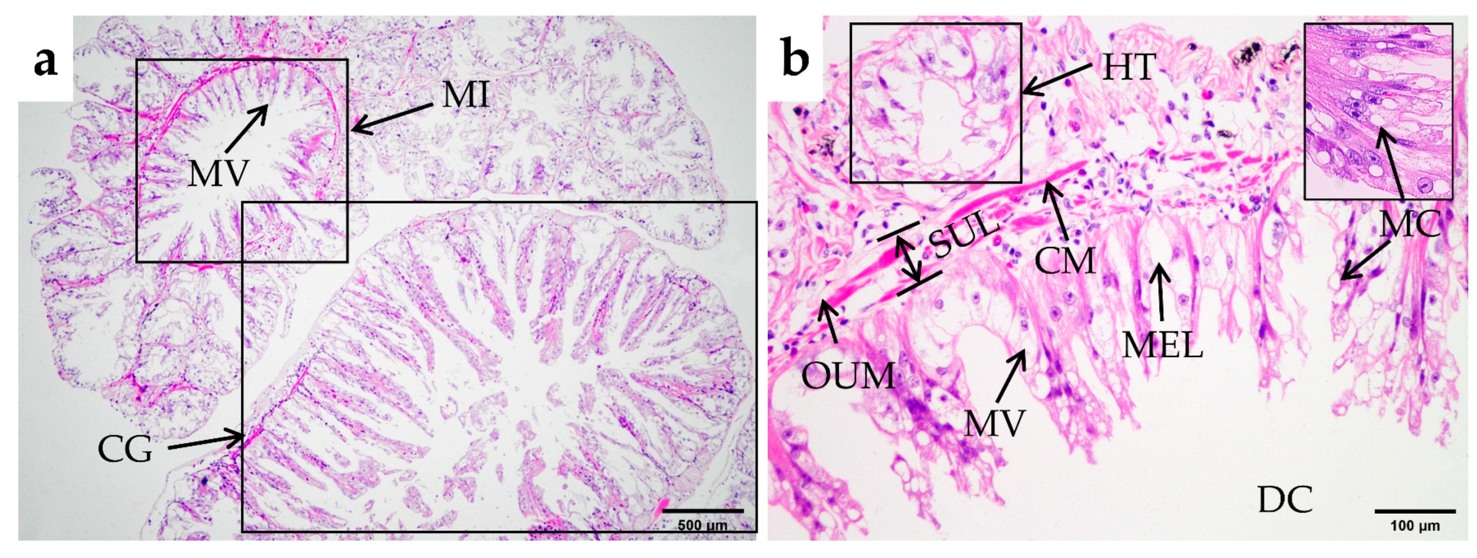 Fishes 10 00071 g009