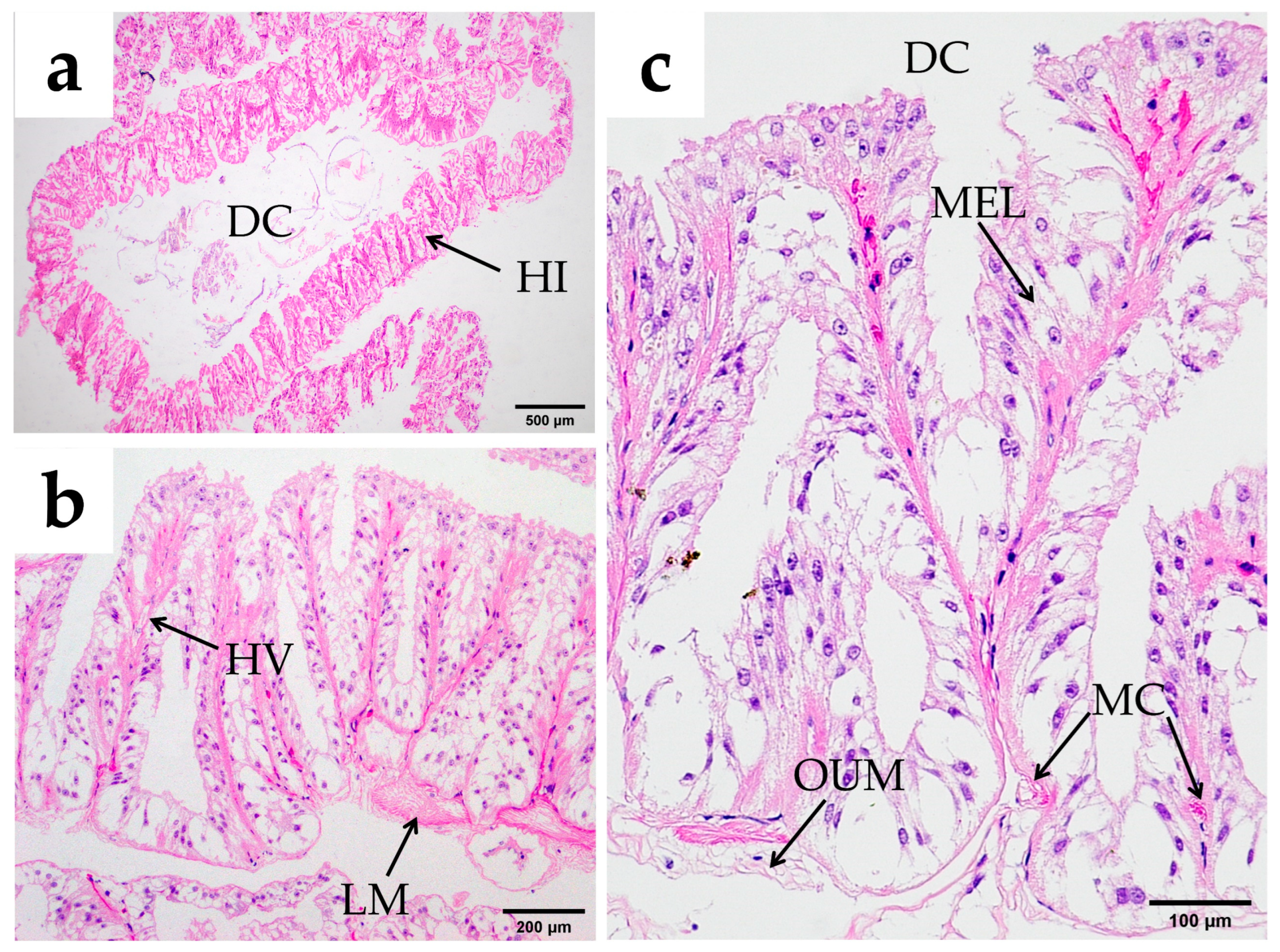 Fishes 10 00071 g011