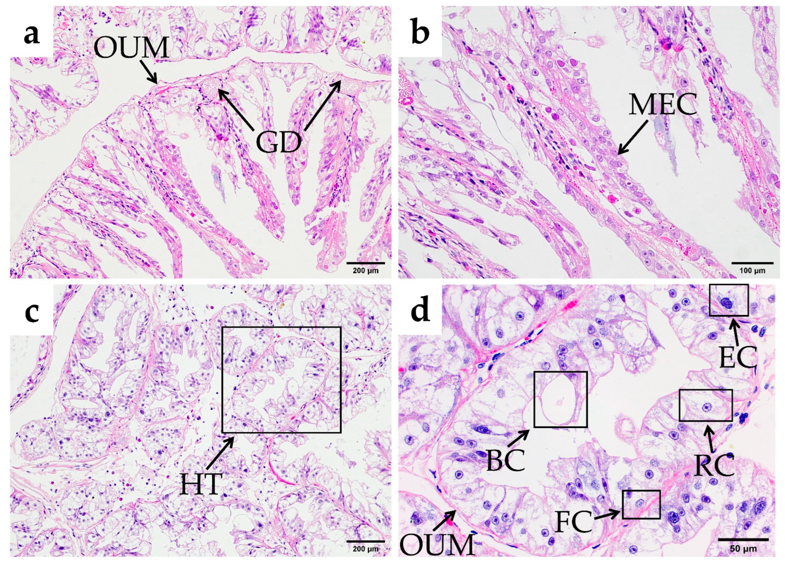 Fishes 10 00071 g013
