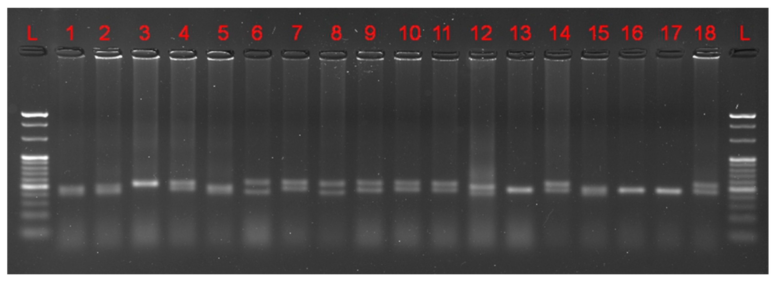 Fishes 10 00118 g002