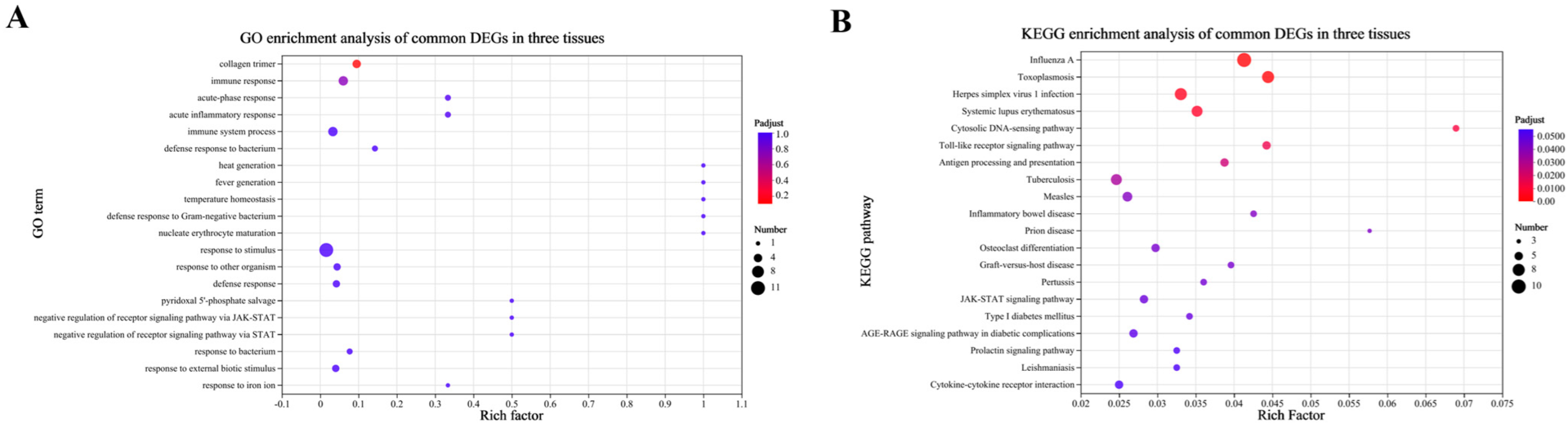Fishes 10 00153 g010
