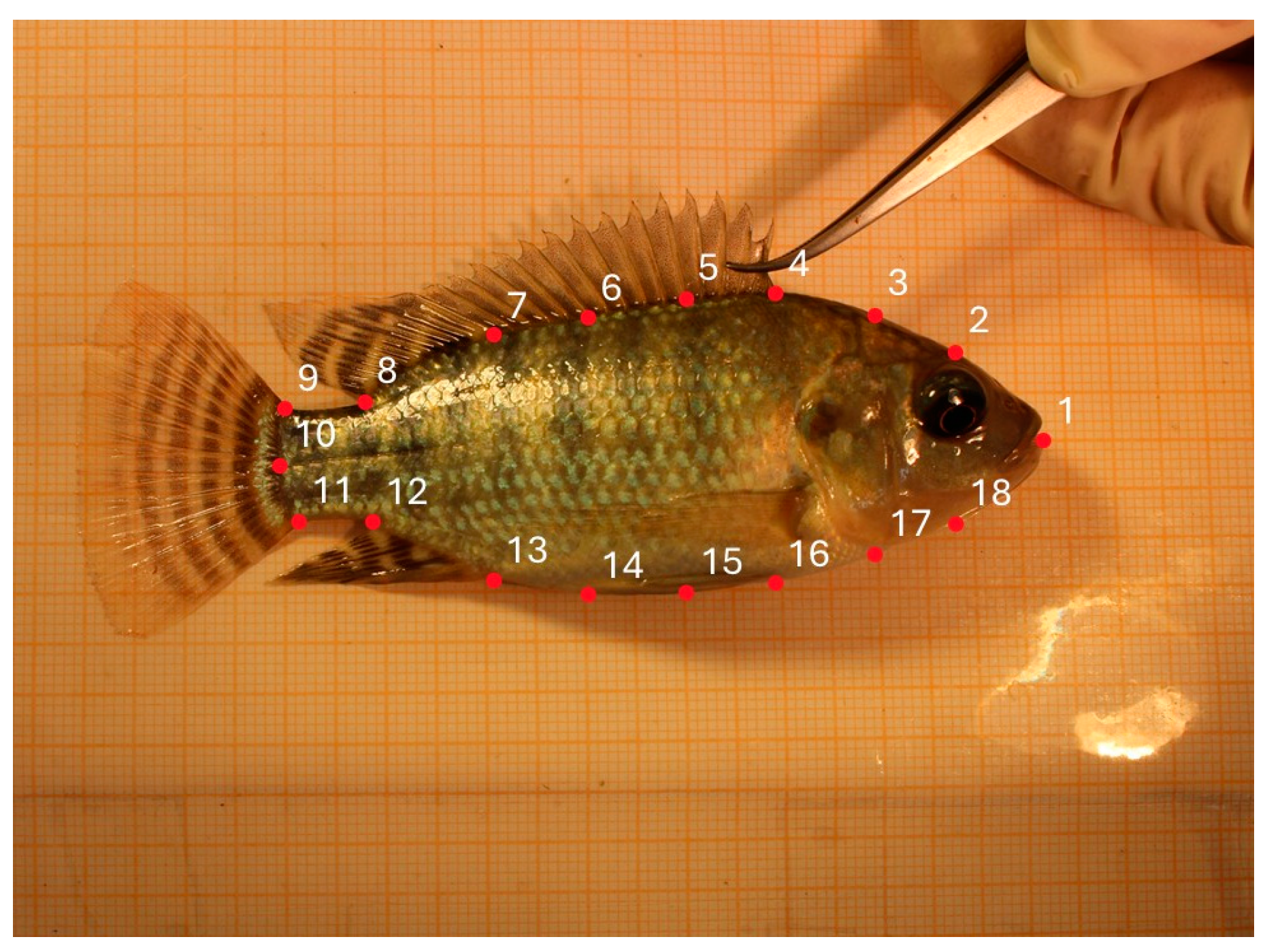 Fishes 10 00174 g002 Fishes 10 00174 g002