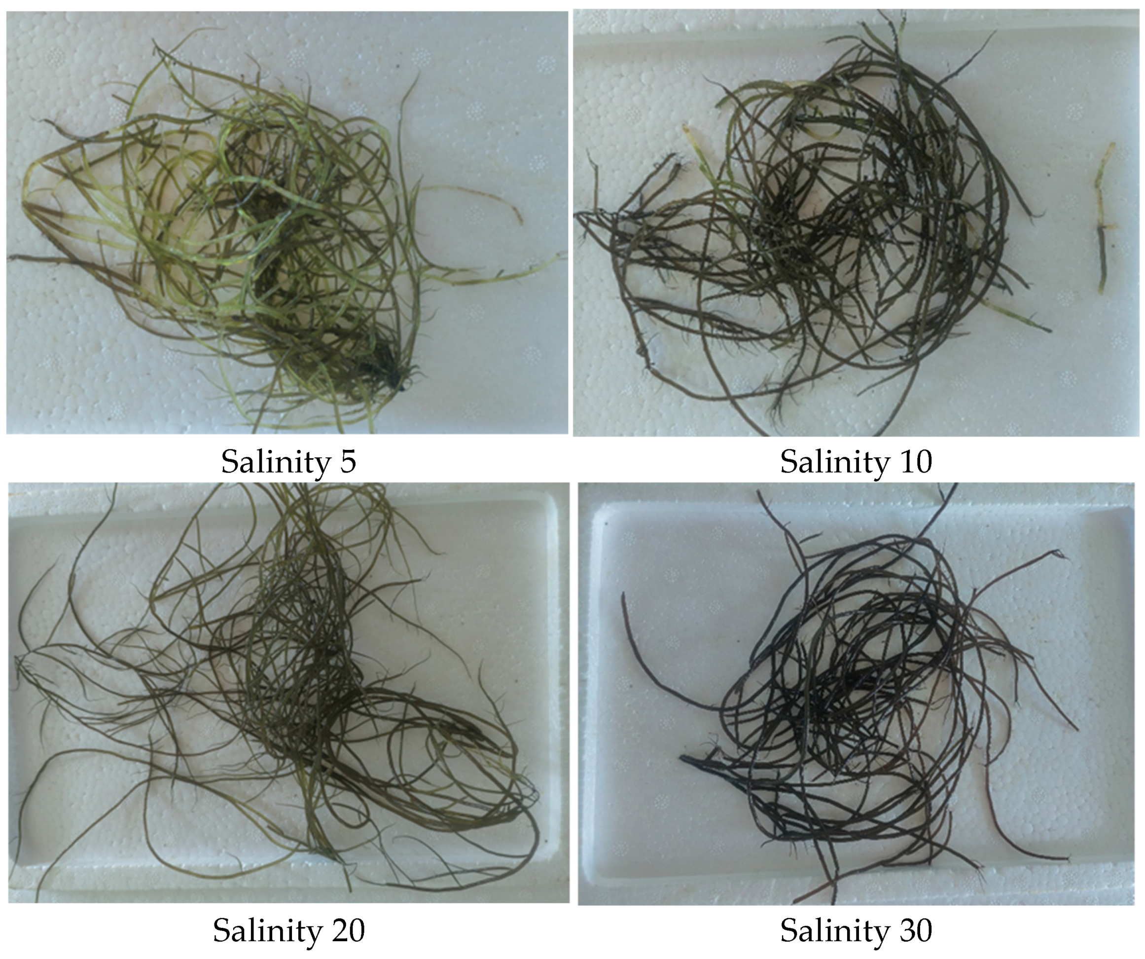 Fishes 10 00179 g005