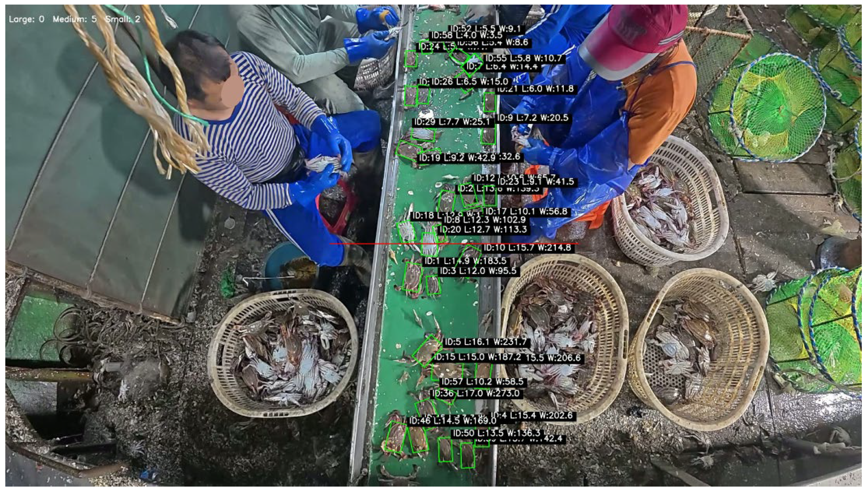 Fishes 10 00364 g014