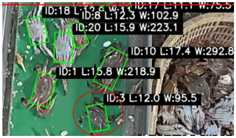 Fishes 10 00364 i003