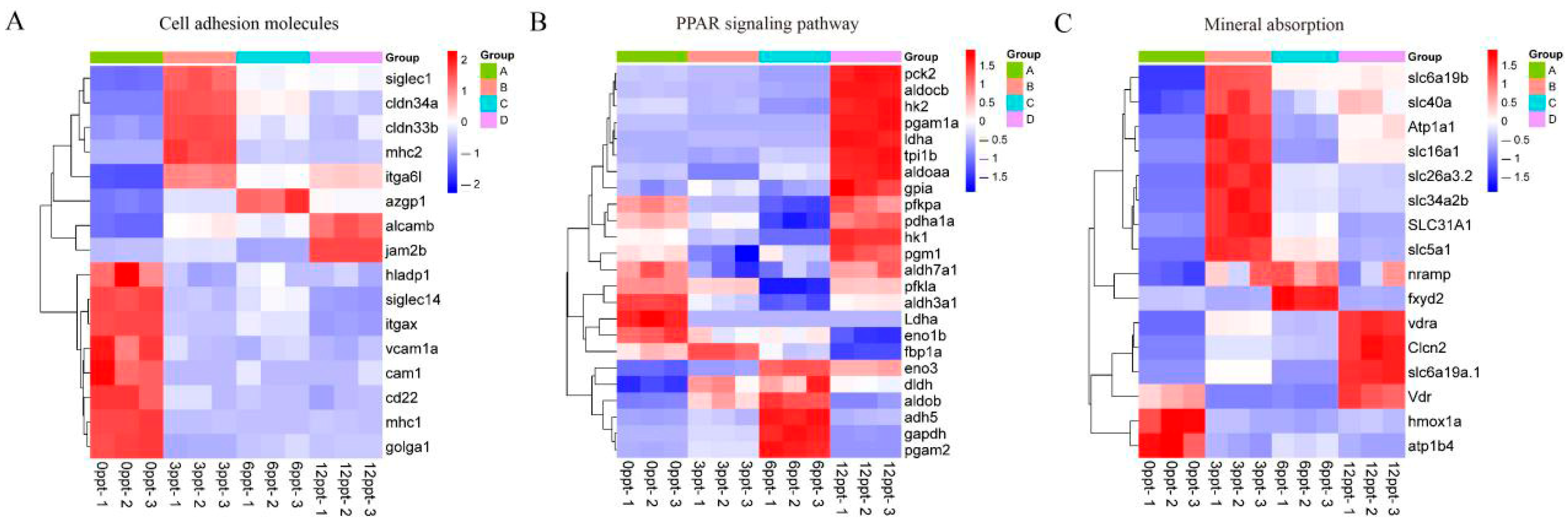 Fishes 10 00380 g007 Fishes 10 00380 g007