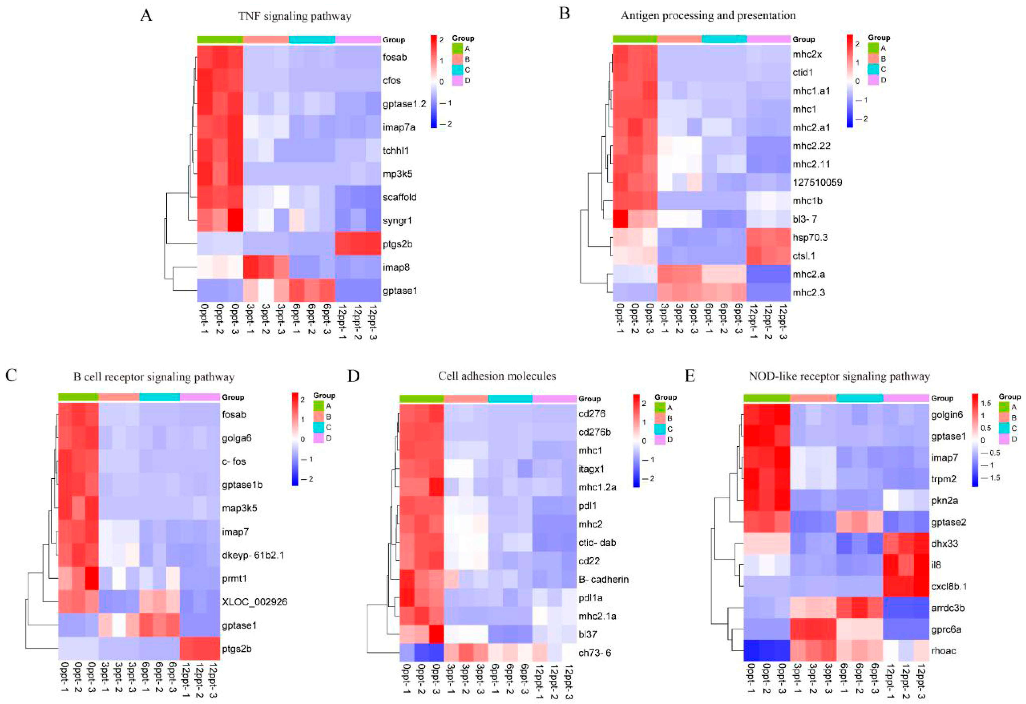 Fishes 10 00380 g008 Fishes 10 00380 g008