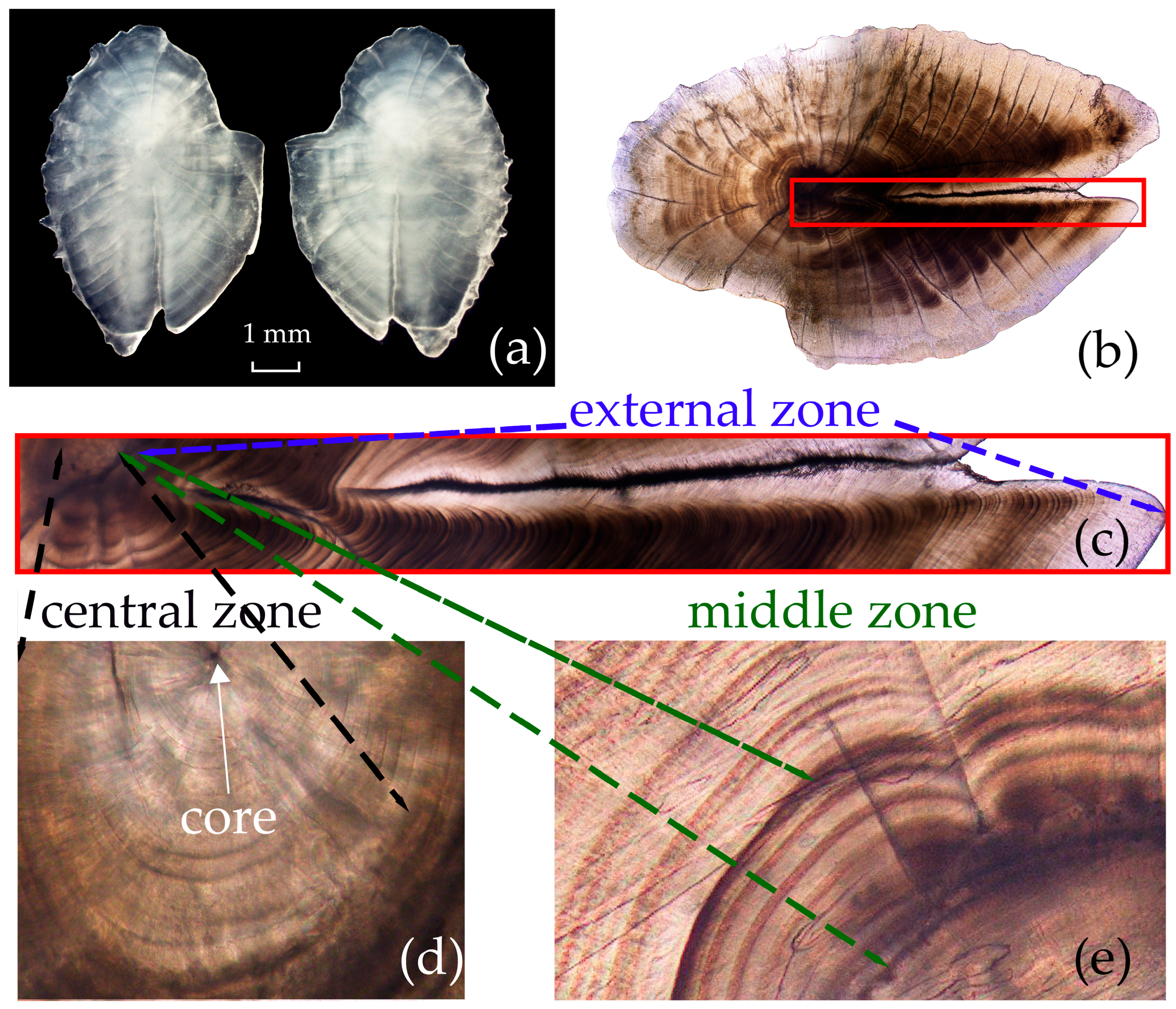 Fishes 10 00538 g005 Fishes 10 00538 g005