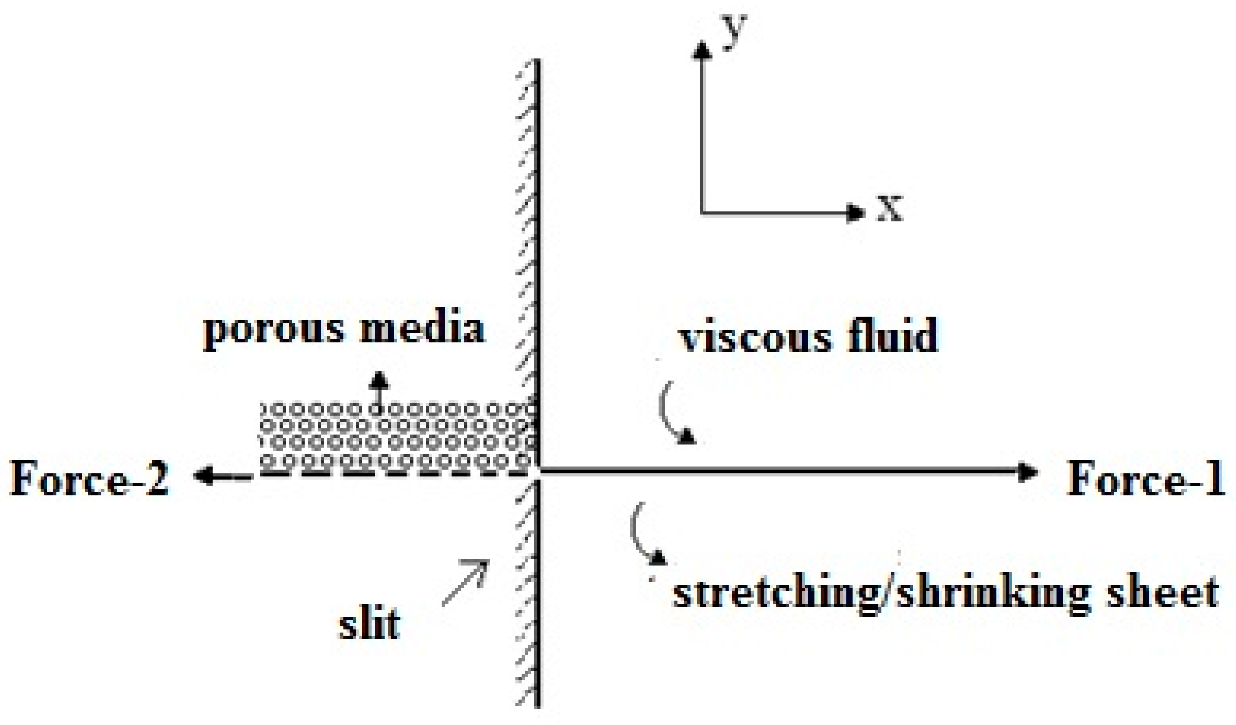 Fluids | Free Full-Text | A New Exact Solution for the Flow of a Fluid  through Porous Media for a Variety of Boundary Conditions